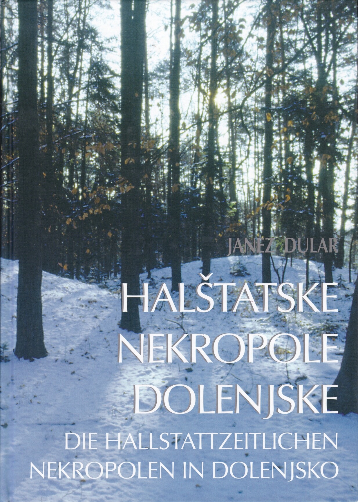 Janez Dular: Halstatske nekropole Dolenjske (Rippl-Rónai Múzeum CC BY-NC-ND)