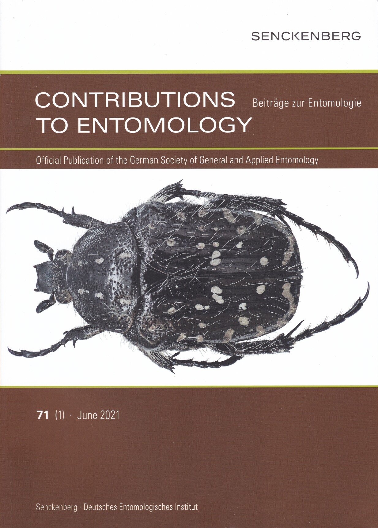 Beiträge zur Entomologie. Contributions to Entomology 2021/71. évf. 1. sz. (Rippl-Rónai Múzeum CC BY-NC-ND)