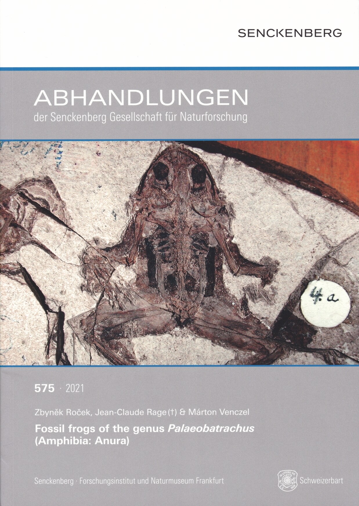 Zbynek Rocek,;Jean-Claude Rage; Márton Venczel: Fossil frogs of the genus Palaeobatrachus (Amphibia: Anura) (Rippl-Rónai Múzeum CC BY-NC-ND)