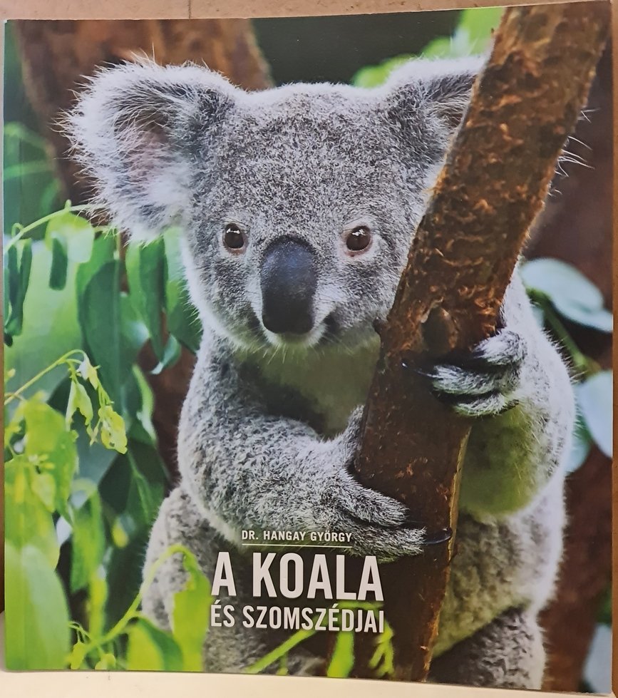 Hangay György: A koala és szomszédjai (Rippl-Rónai Múzeum CC BY-NC-ND)