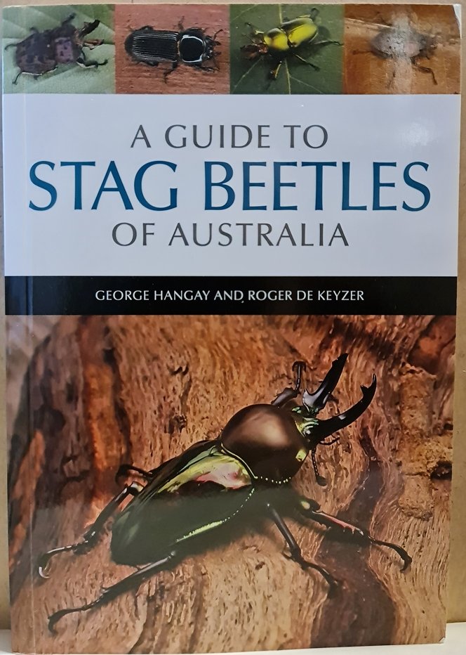 George Hangay; Roger de Keyzer: A guide to Stag Beetles of Australia (Rippl-Rónai Múzeum CC BY-NC-ND)
