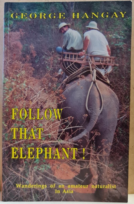 George Hangay: Follow that elephant! (Rippl-Rónai Múzeum CC BY-NC-ND)