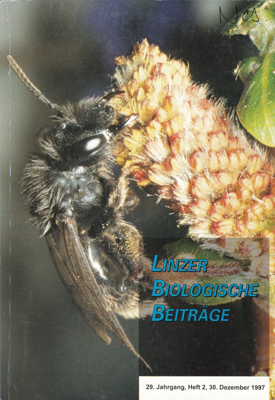 Linzer Biologische Beiträge 1997/29. évf. 2. füzet (Rippl-Rónai Múzeum CC BY-NC-ND)