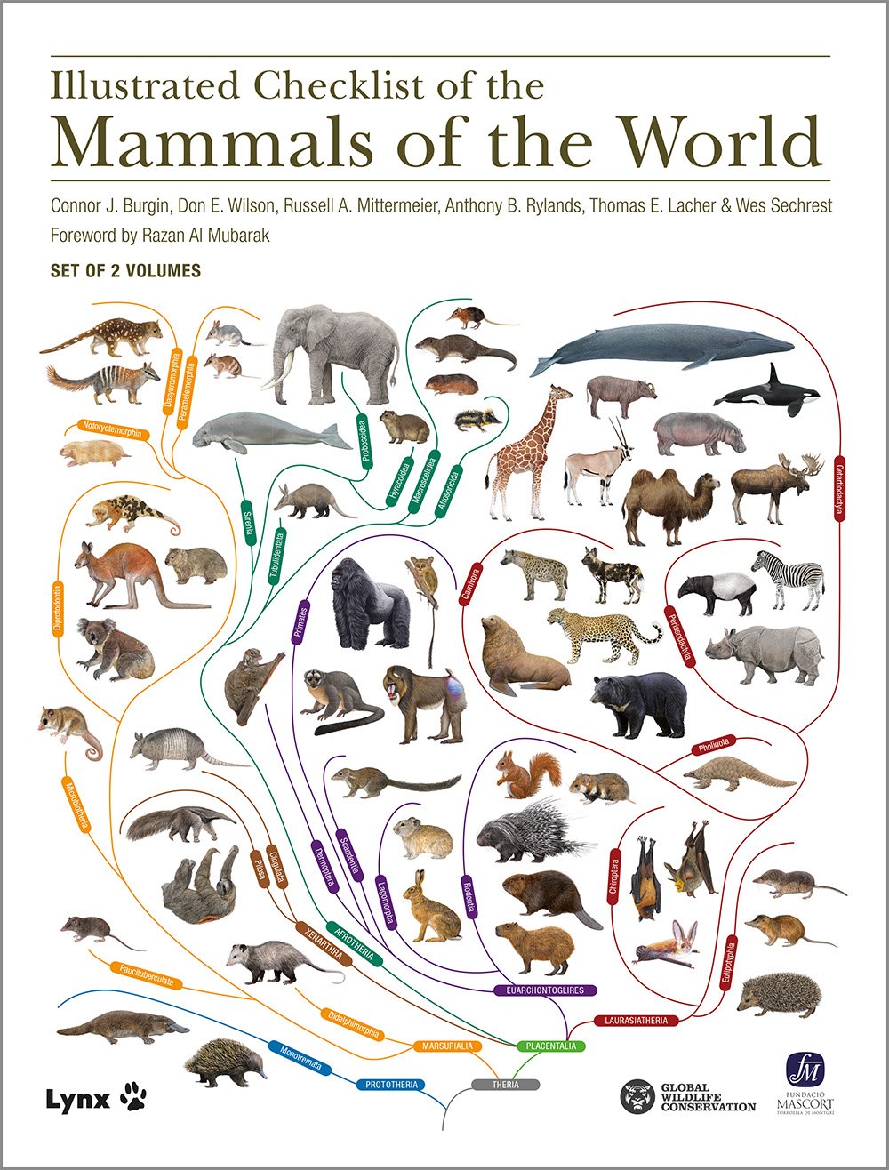 Illustrated Checklist of the Mammals of the World 2. kötet - Eulipootyphla to Carnivora (Rippl-Rónai Múzeum CC BY-NC-ND)