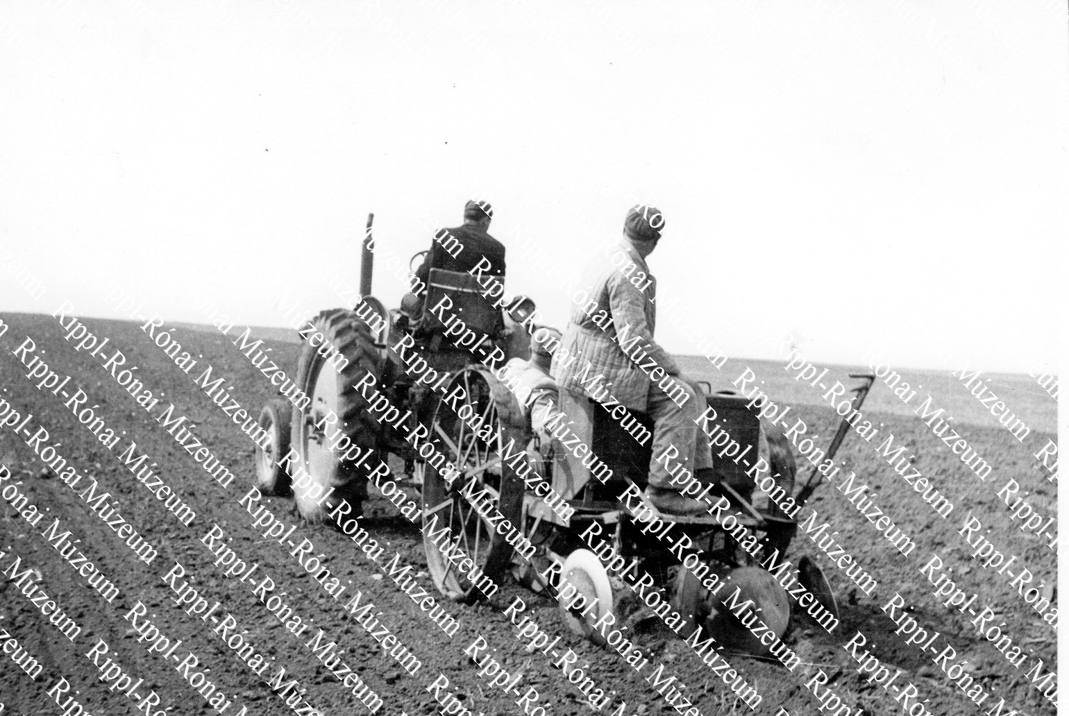 Burgonyaültető gépet vontat a zetor a somogyszili-gadácsi Petőfi Tsz. földjén (Rippl-Rónai Múzeum CC BY-NC-ND)