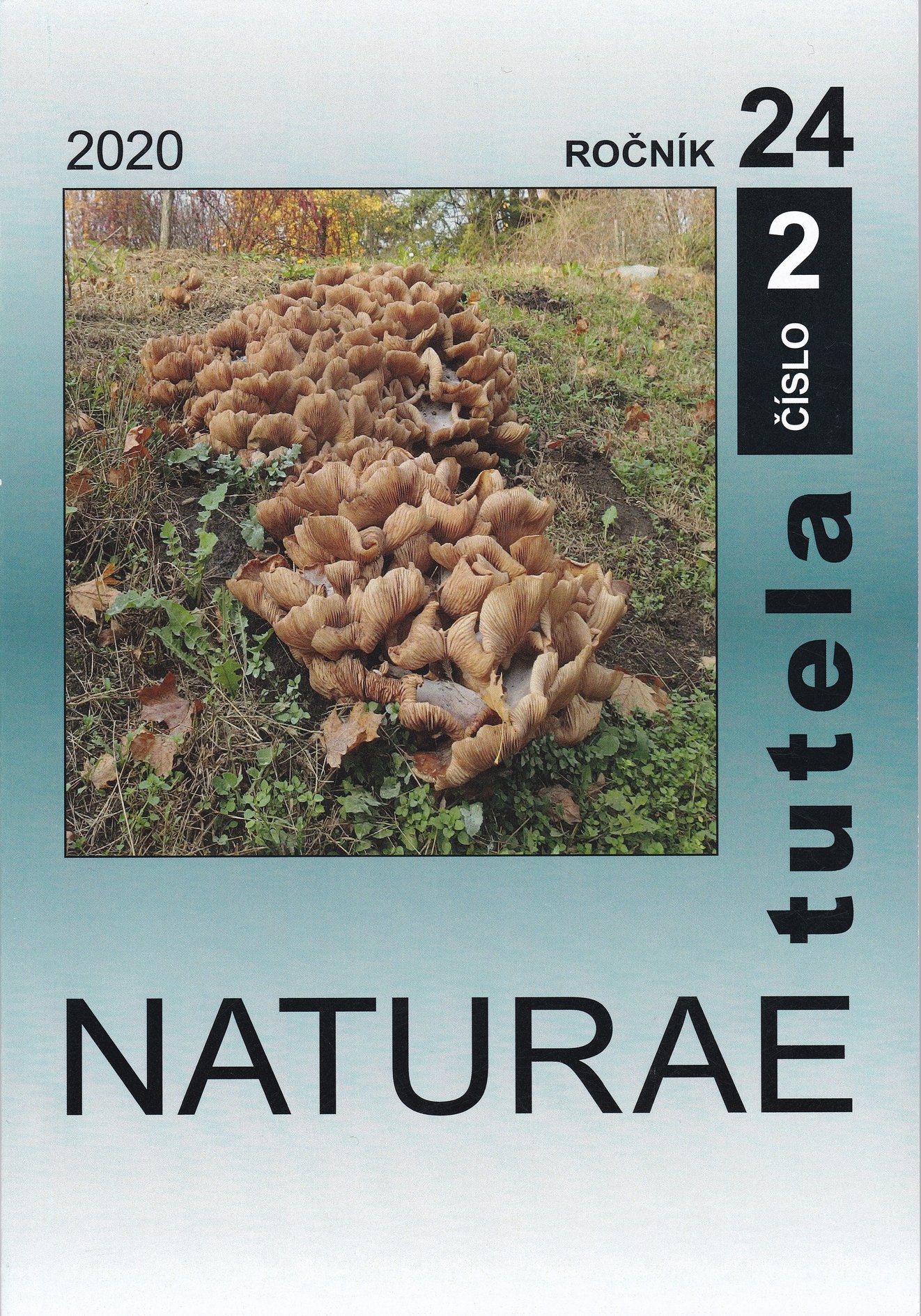 Naturae tutela 2020/24. évf. 2. sz (Rippl-Rónai Múzeum CC BY-NC-ND)