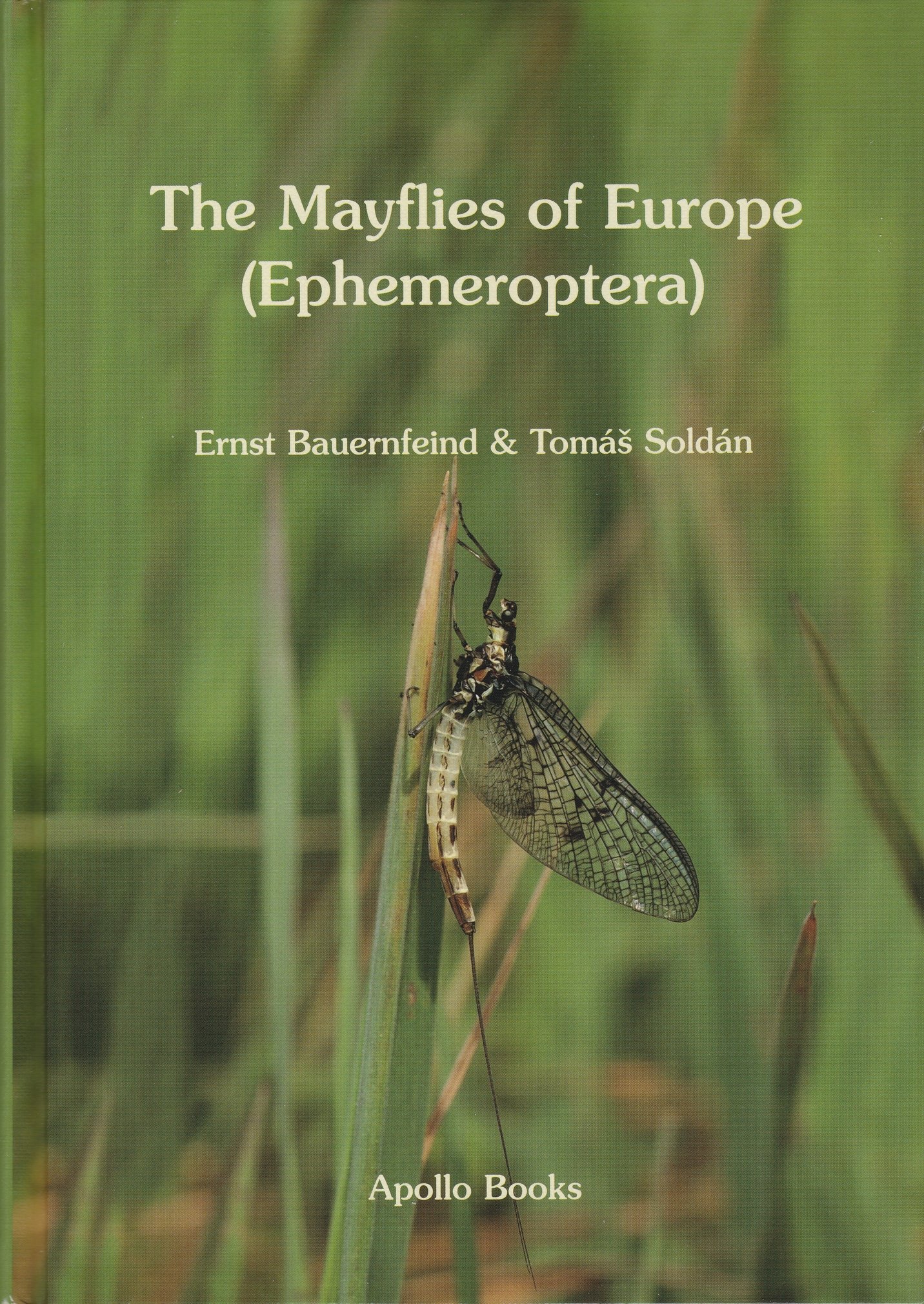 Ernst Bauernfeind; Tomáš Soldán: The Mayflies of Europe (Ephemeroptera) (Rippl-Rónai Múzeum CC BY-NC-ND)