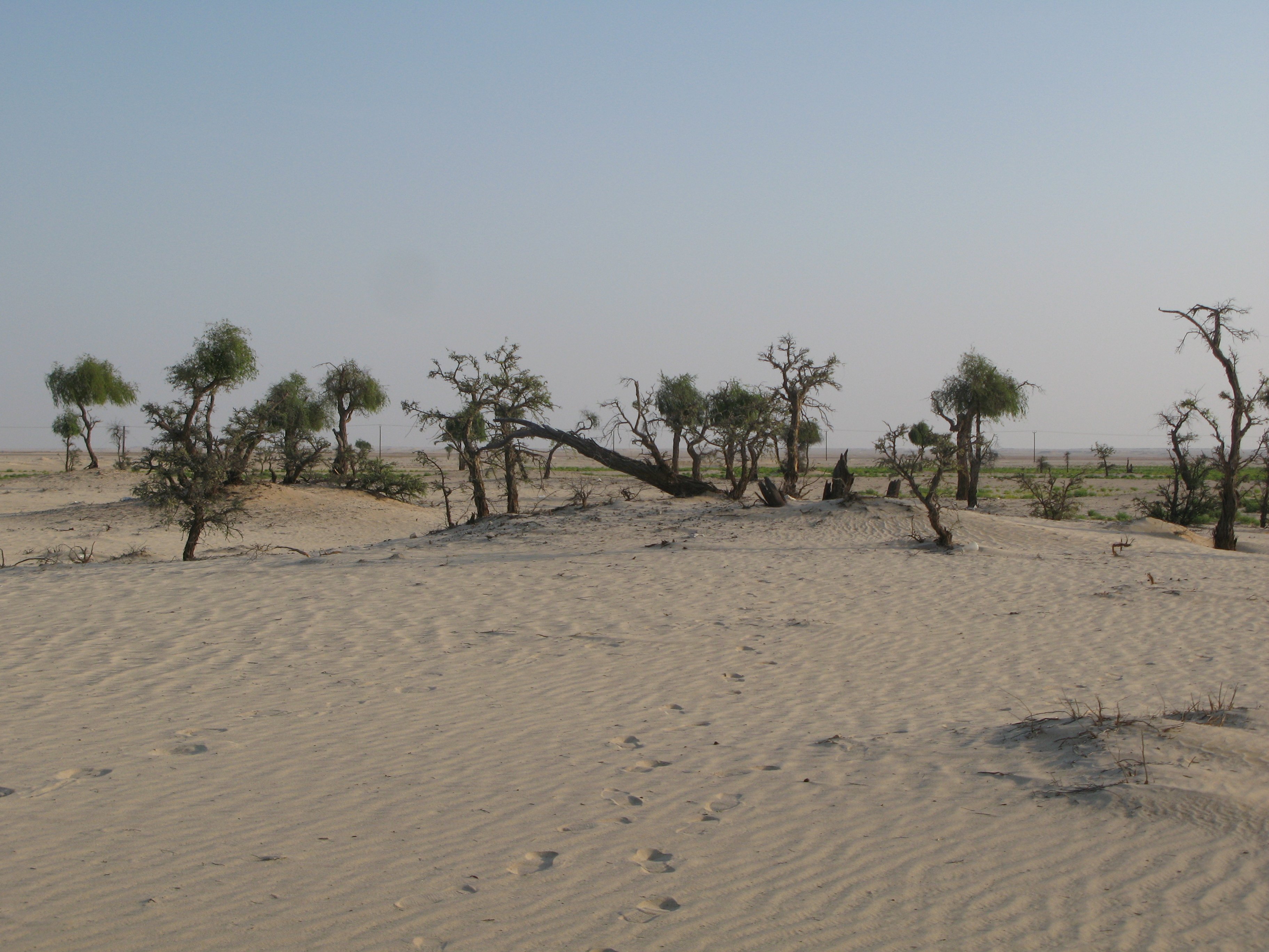 homoksivatag Mughshin közelében (Rippl-Rónai Múzeum CC BY-NC-ND)