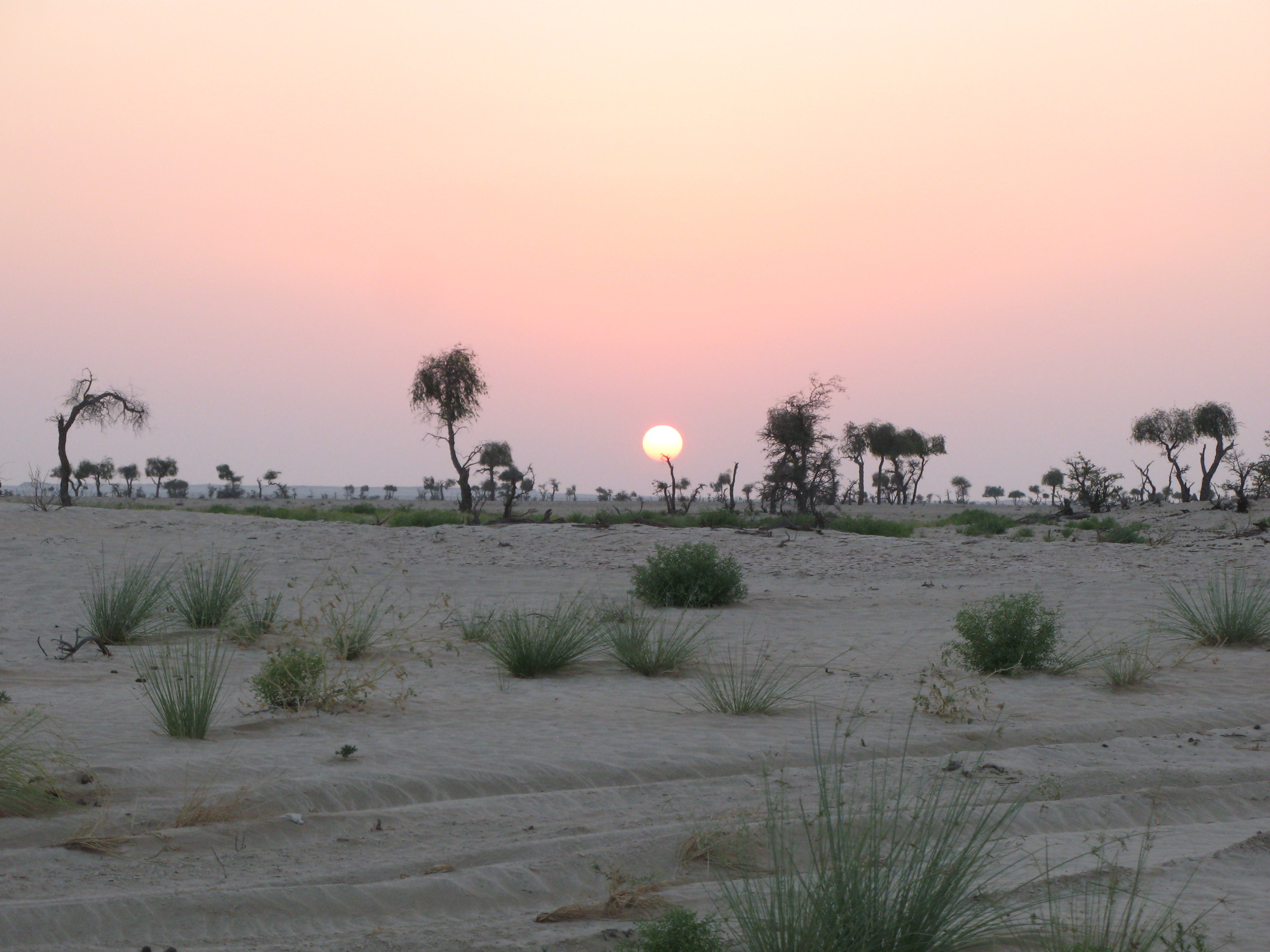 naplemente a homoksivatagban (Rippl-Rónai Múzeum CC BY-NC-ND)