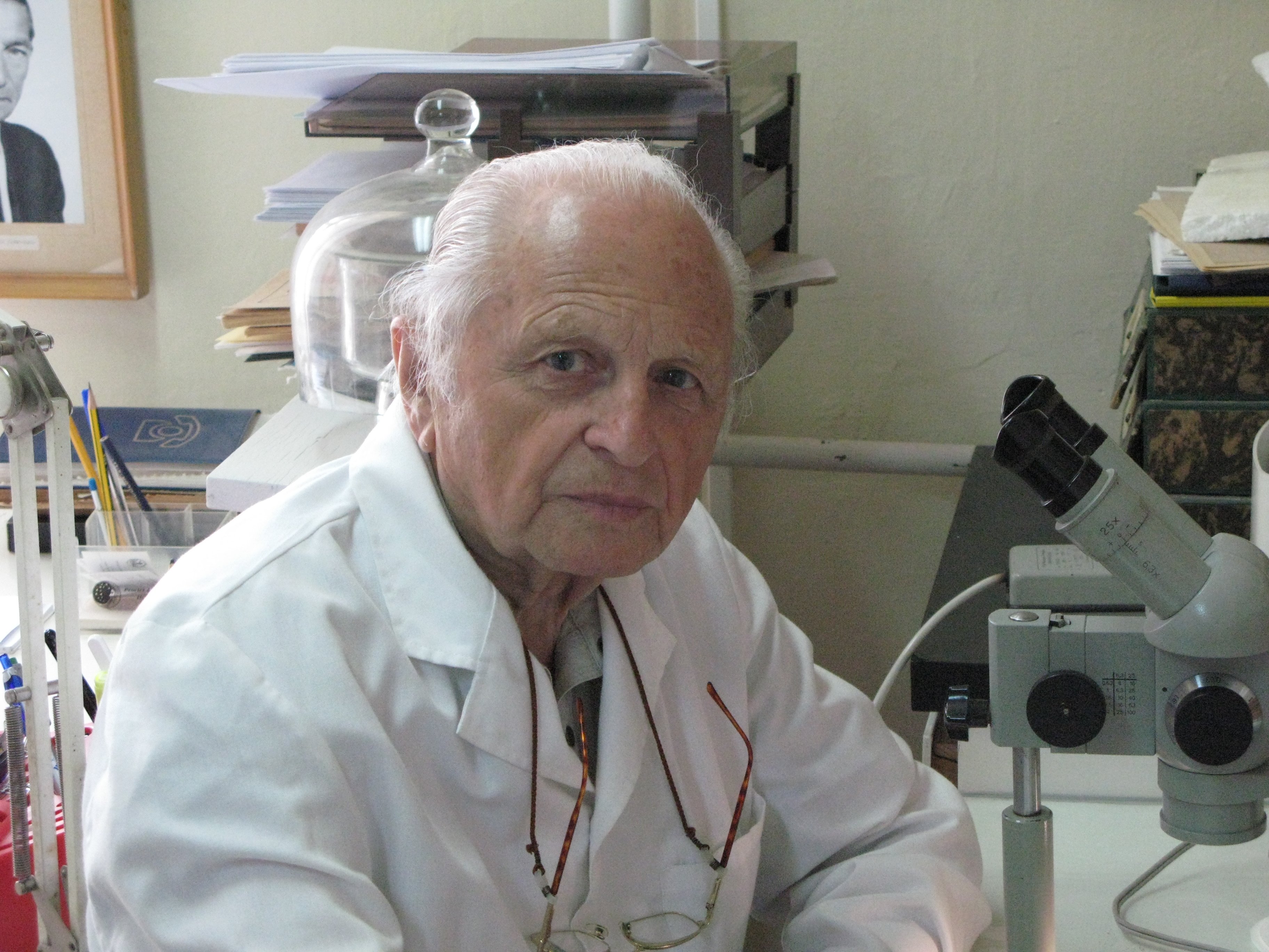 Prof. Sáringer Gyula (Rippl-Rónai Múzeum CC BY-NC-ND)