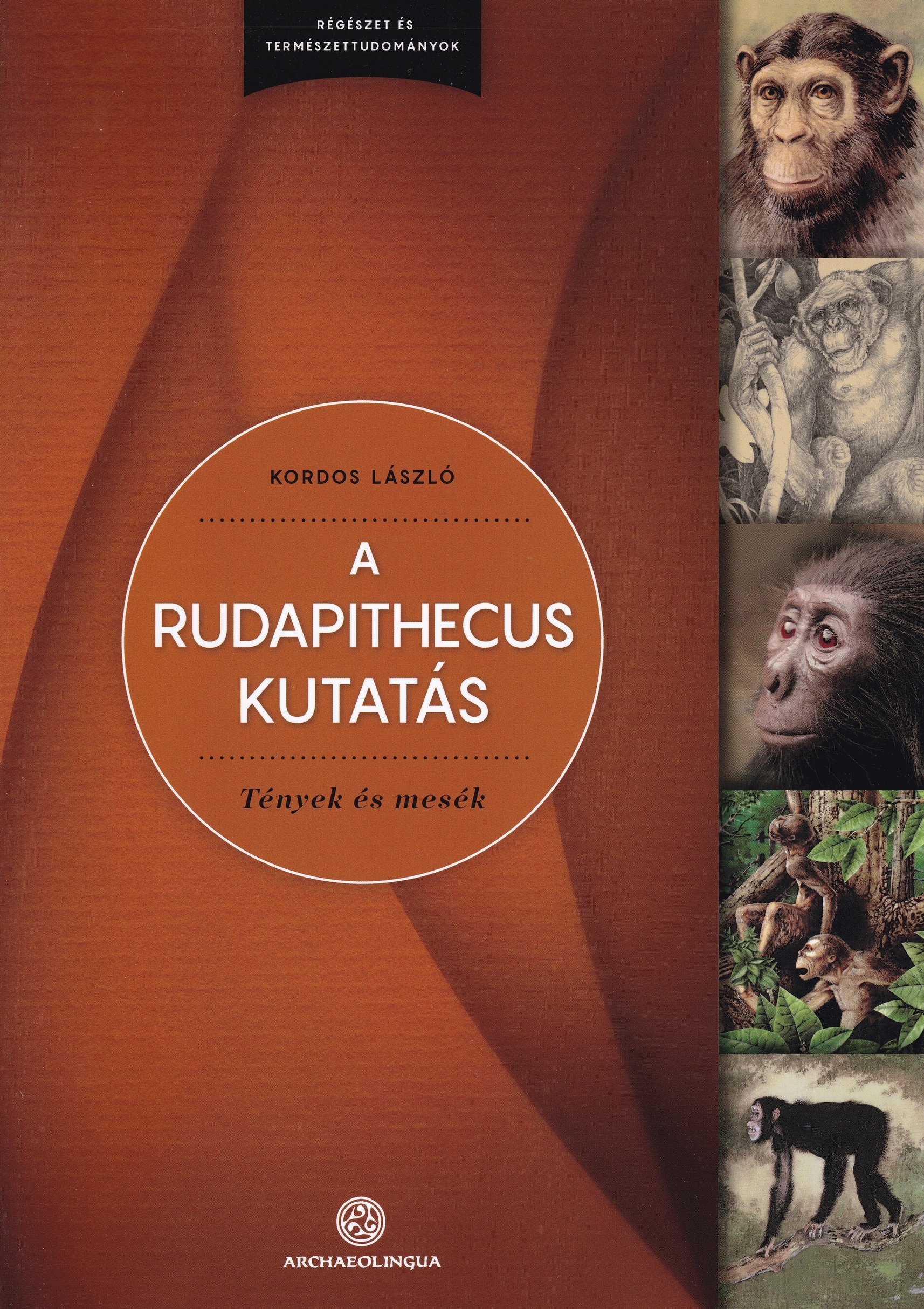 Kordos László: A Rudapithecus kutatás. Tények és mesék (Rippl-Rónai Múzeum CC BY-NC-ND)