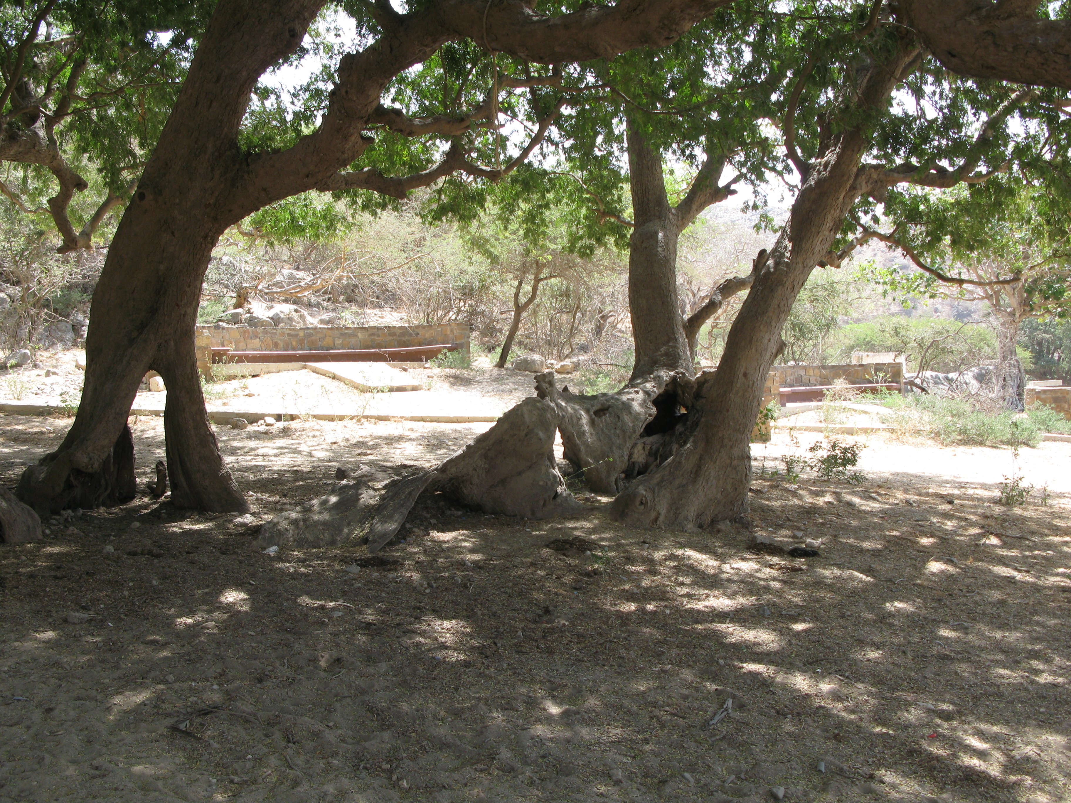 Wadi Shaboun gyűjtőhely (Rippl-Rónai Múzeum CC BY-NC-ND)