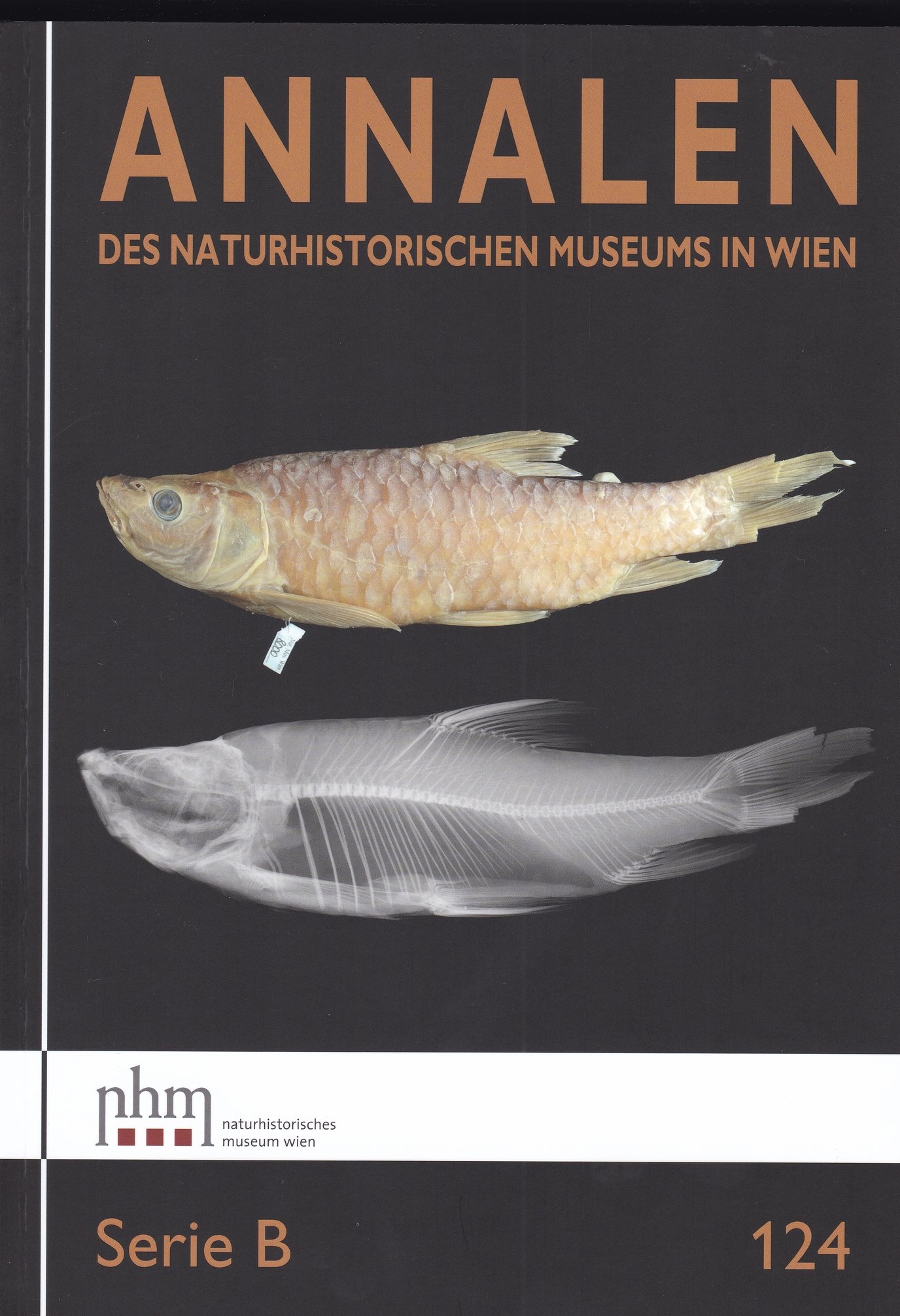 Annalen des Naturhistorischen Museums in Wien 2022/124. B. sorozat (Rippl-Rónai Múzeum CC BY-NC-ND)
