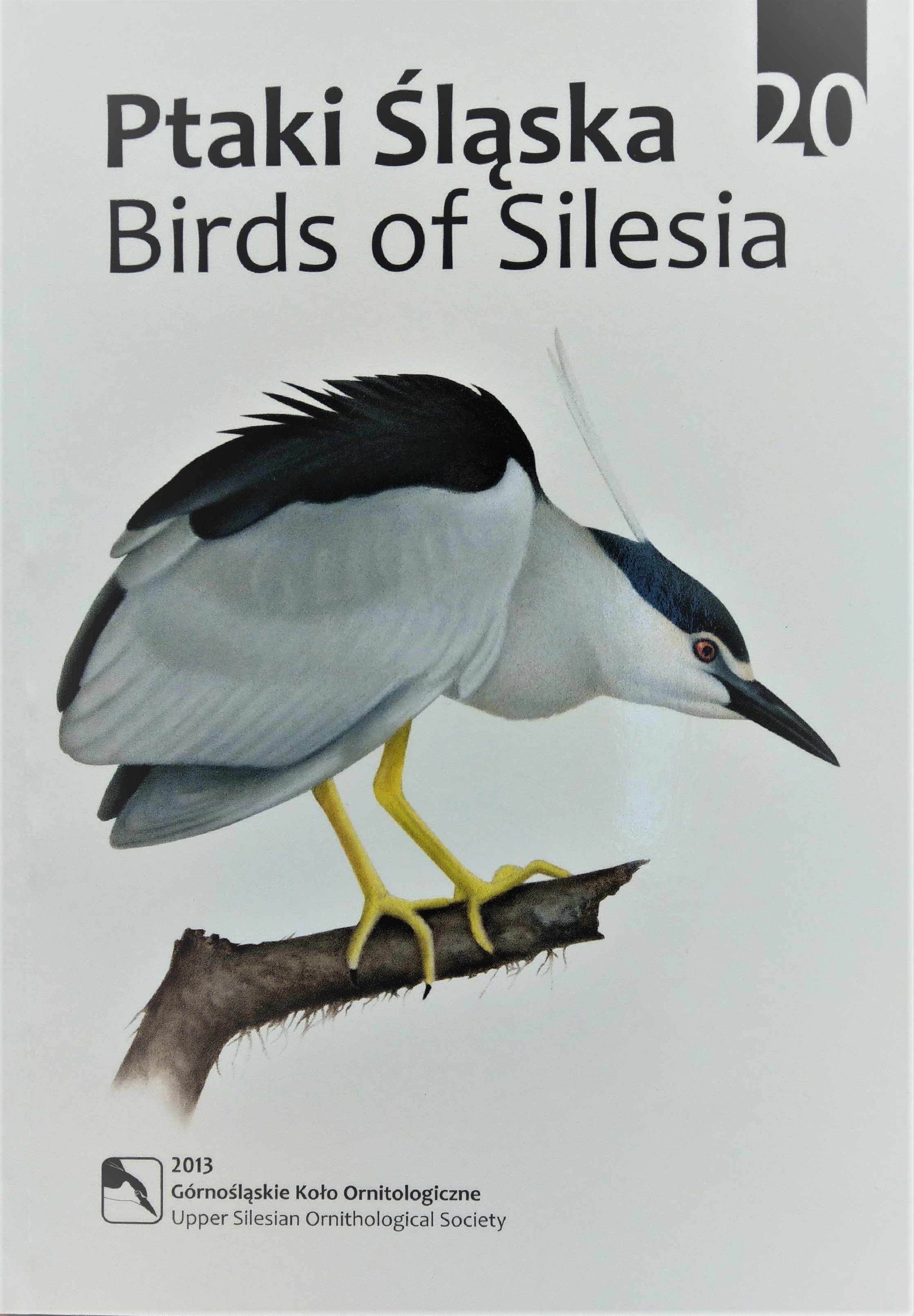 Ptaki Salska. Birds of Silesia 2013/20. (Rippl-Rónai Múzeum CC BY-NC-ND)