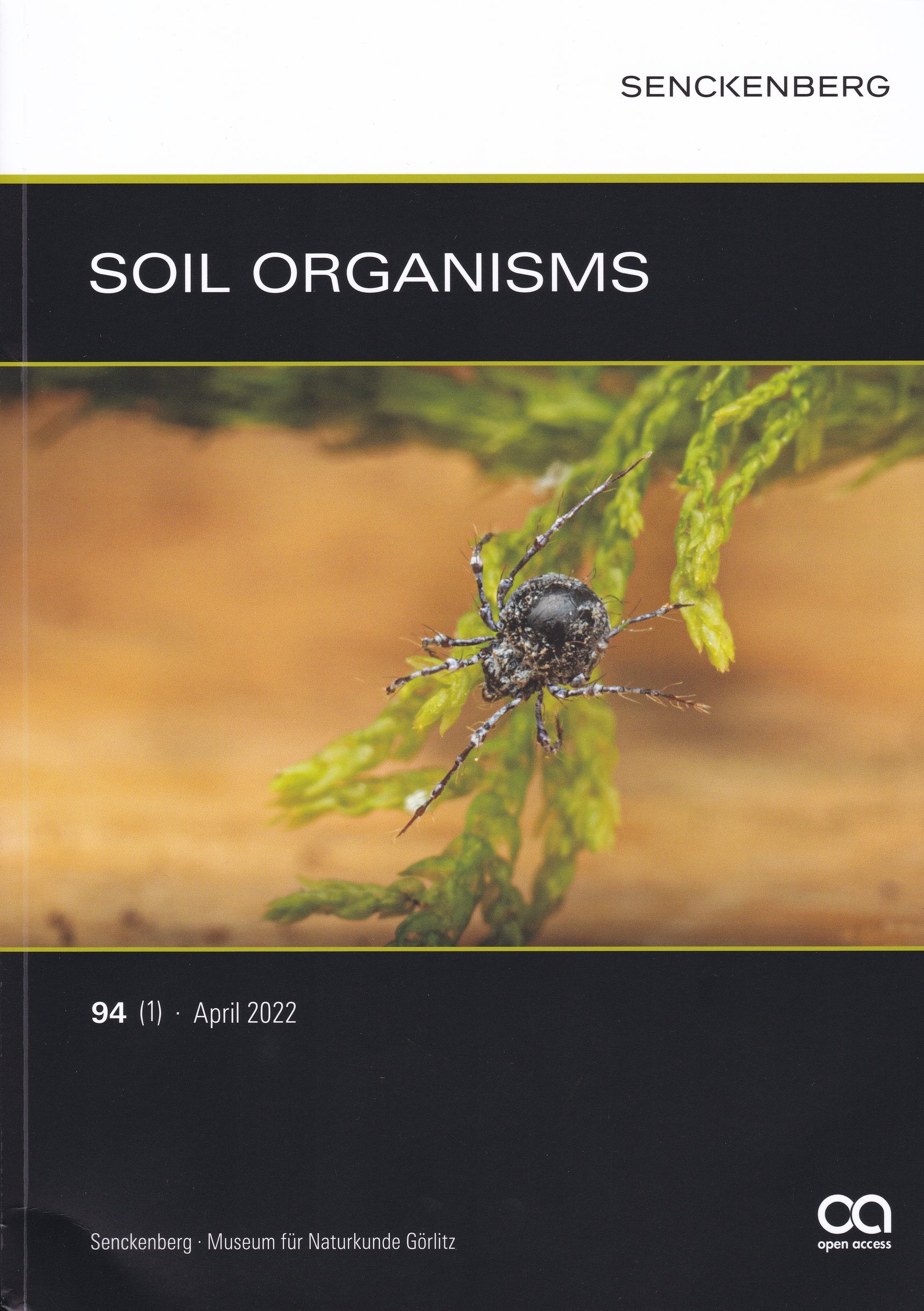 Soil Organisms 2022/94. évf. 1. sz. (Rippl-Rónai Múzeum CC BY-NC-ND)