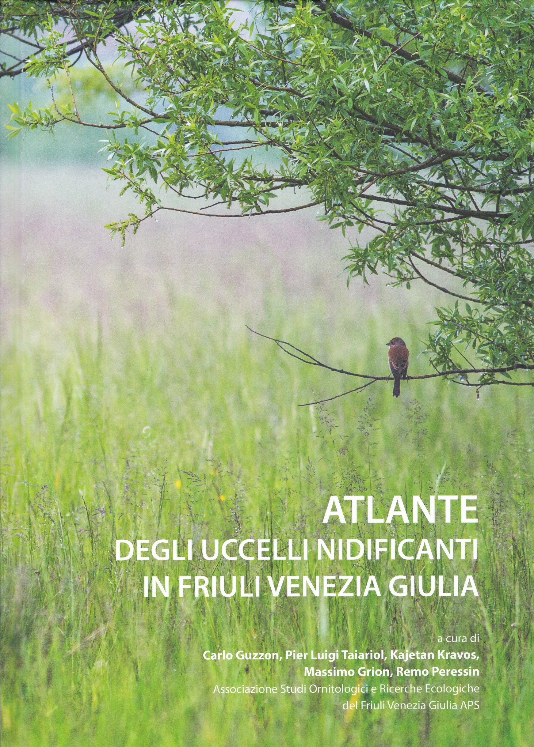 Atlante degli uccelli nidificanti in Friuli Venezia Giulia (Rippl-Rónai Múzeum CC BY-NC-ND)