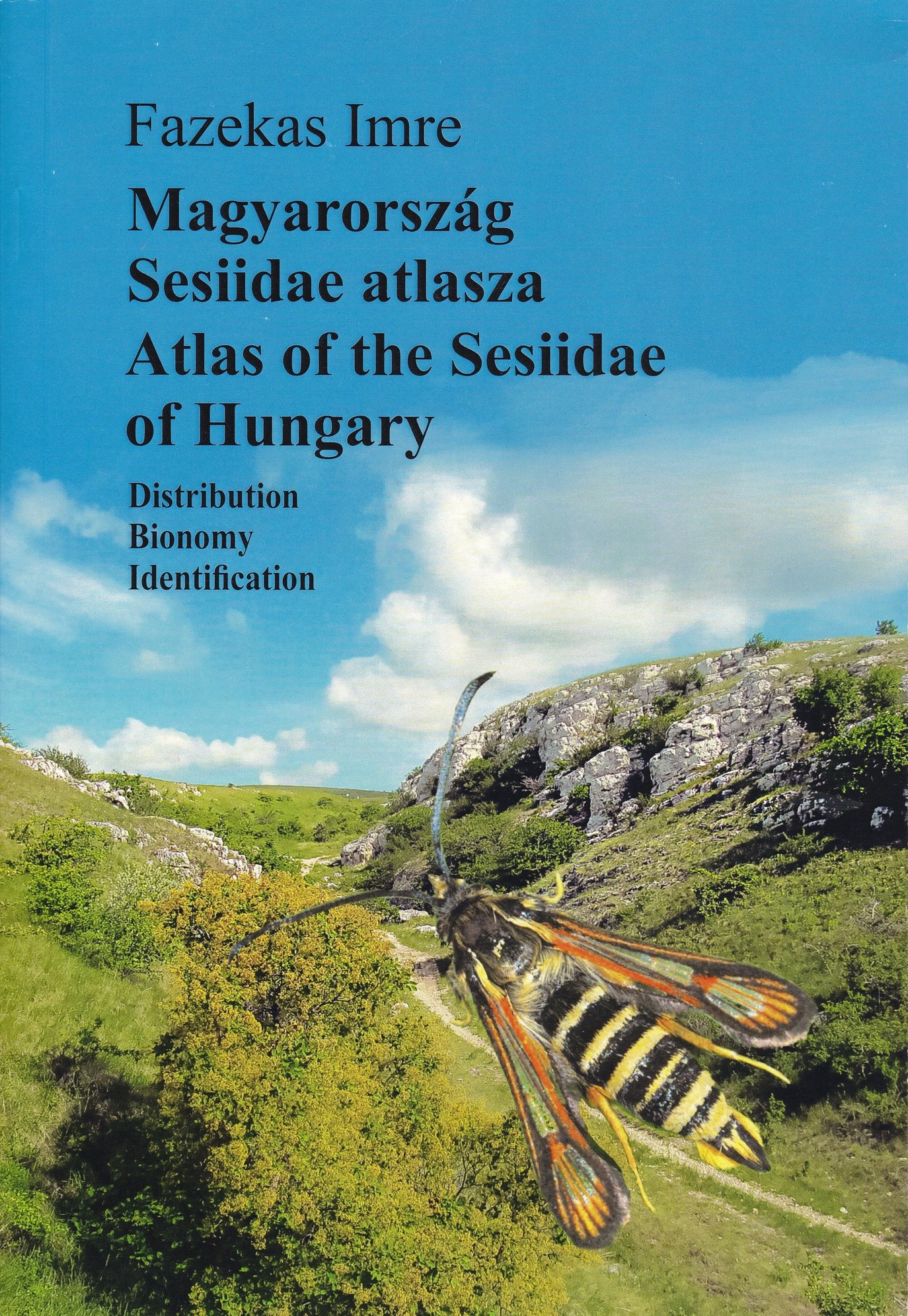 Fazekas Imre: Magyarország Sesiidae atlasza (Rippl-Rónai Múzeum CC BY-NC-ND)