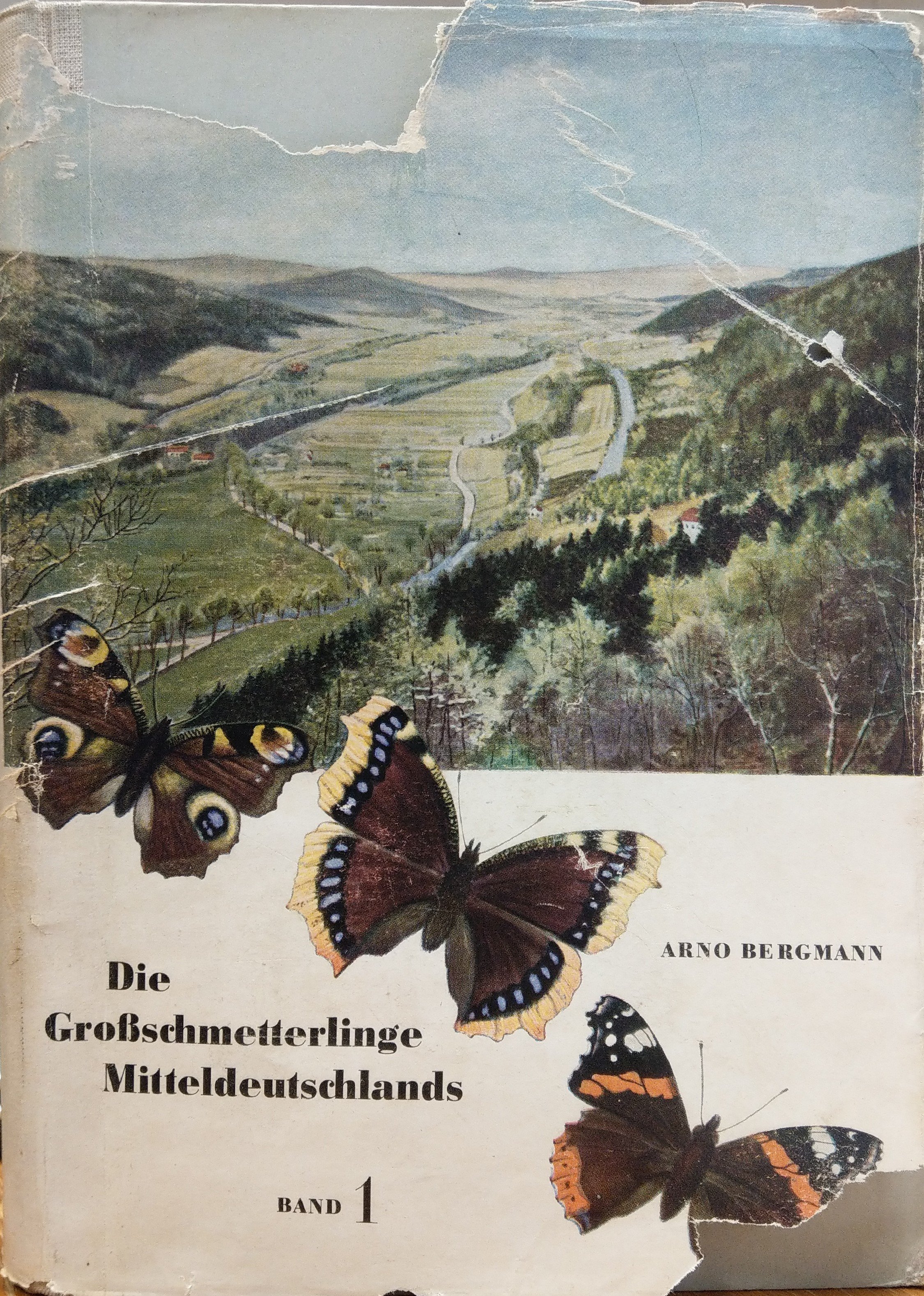 Arno Bergmann: Die Großschmetterlinge Mitteldeutschlands. Band 1. Die Natur Mitteldeutschlands und ihre Schmetterlingsgesellschaften. (Rippl-Rónai Múzeum CC BY-NC-ND)