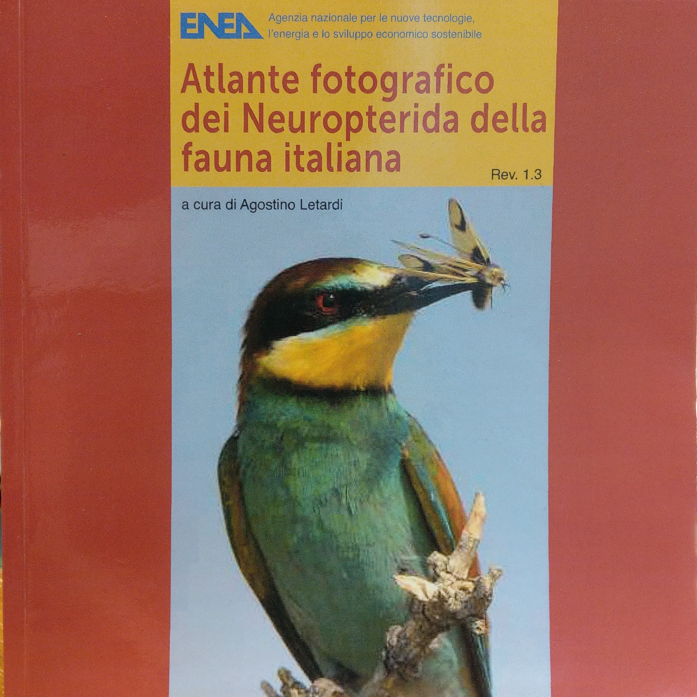 Atlante fotografico dei Neuropterida della fauna italiana (Rippl-Rónai Múzeum CC BY-NC-ND)