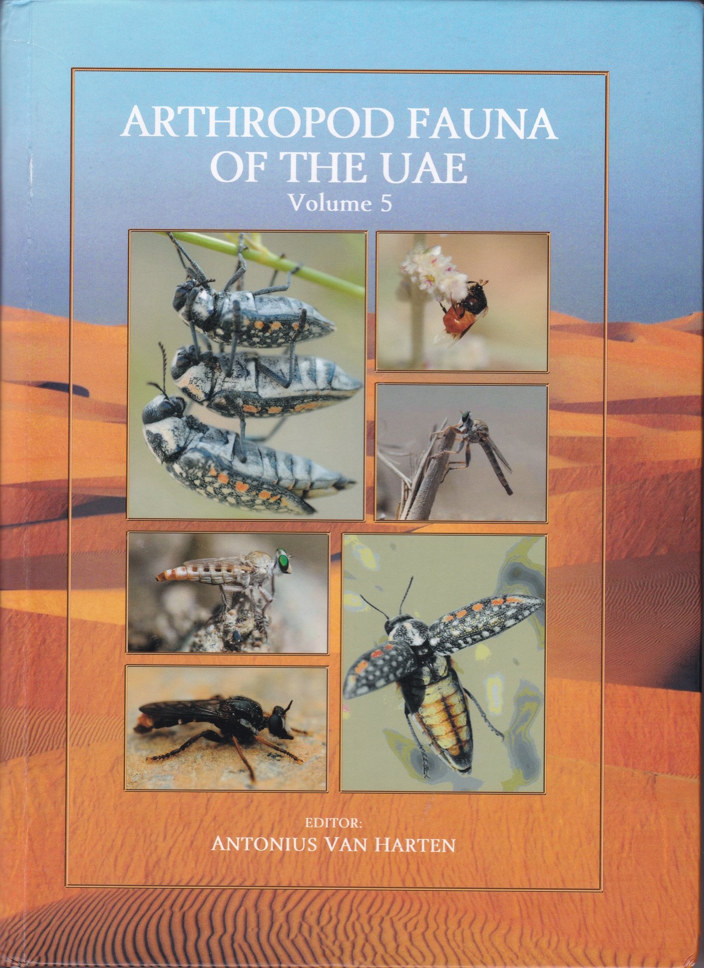 Arthropod fauna of the United Arab Emirates volume 5. (Rippl-Rónai Múzeum CC BY-NC-ND)