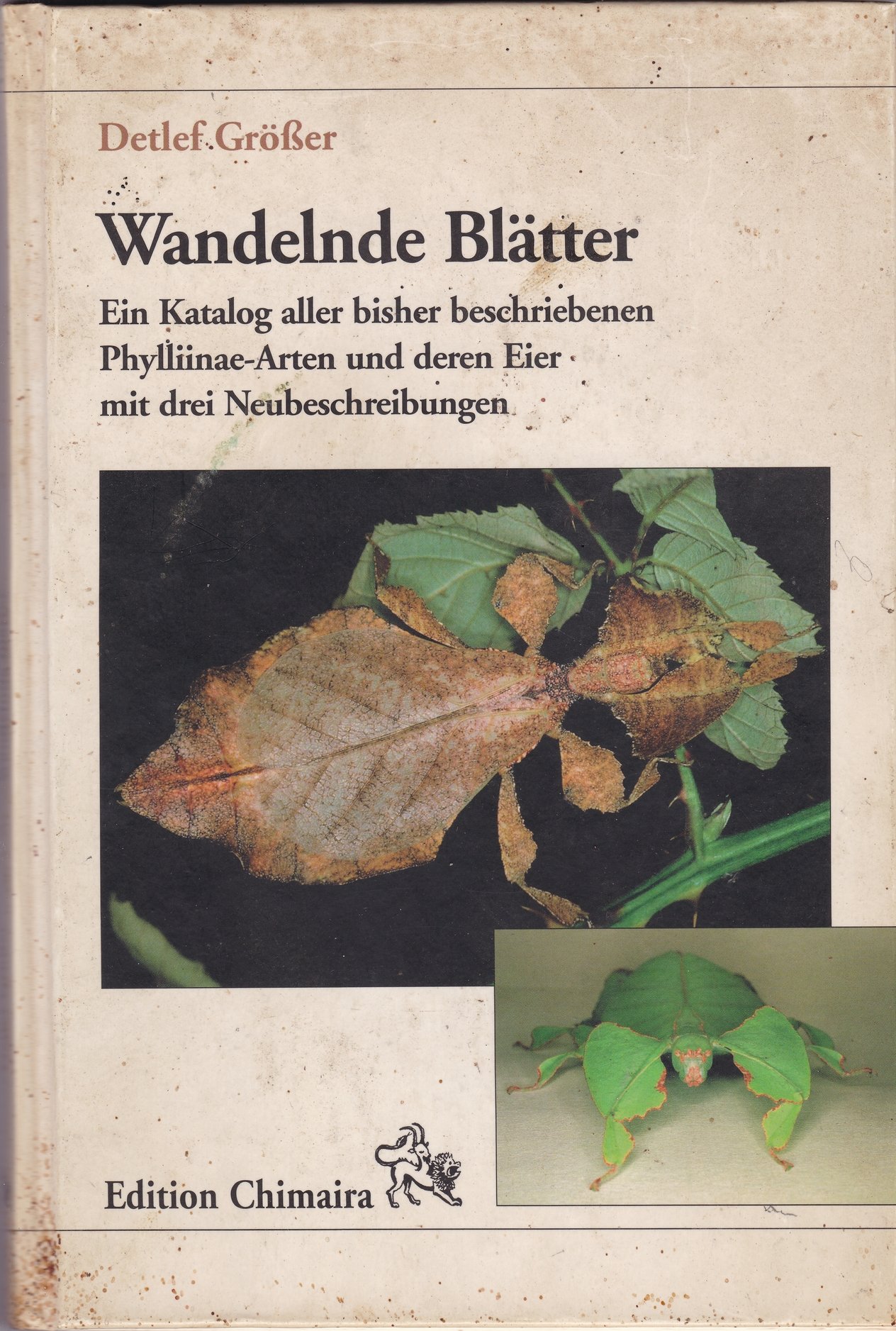 Detlef Größer: Wandelnde Blätter (Insecta: Phasmidae - Phylliidae) (Rippl-Rónai Múzeum CC BY-NC-ND)