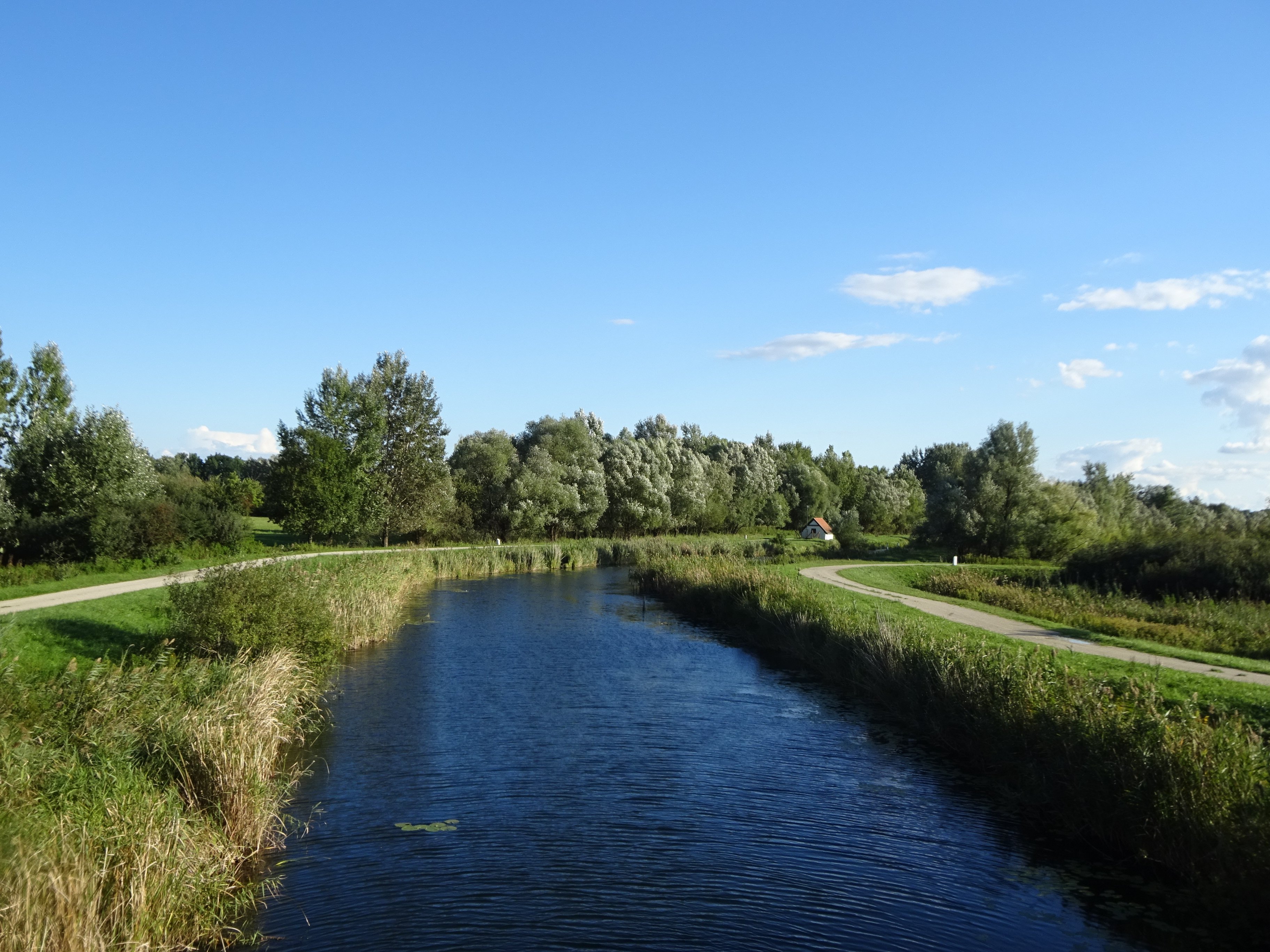 Csatorna a Kis-Balaton vízrendszerénél (Rippl-Rónai Múzeum CC BY-NC-ND)