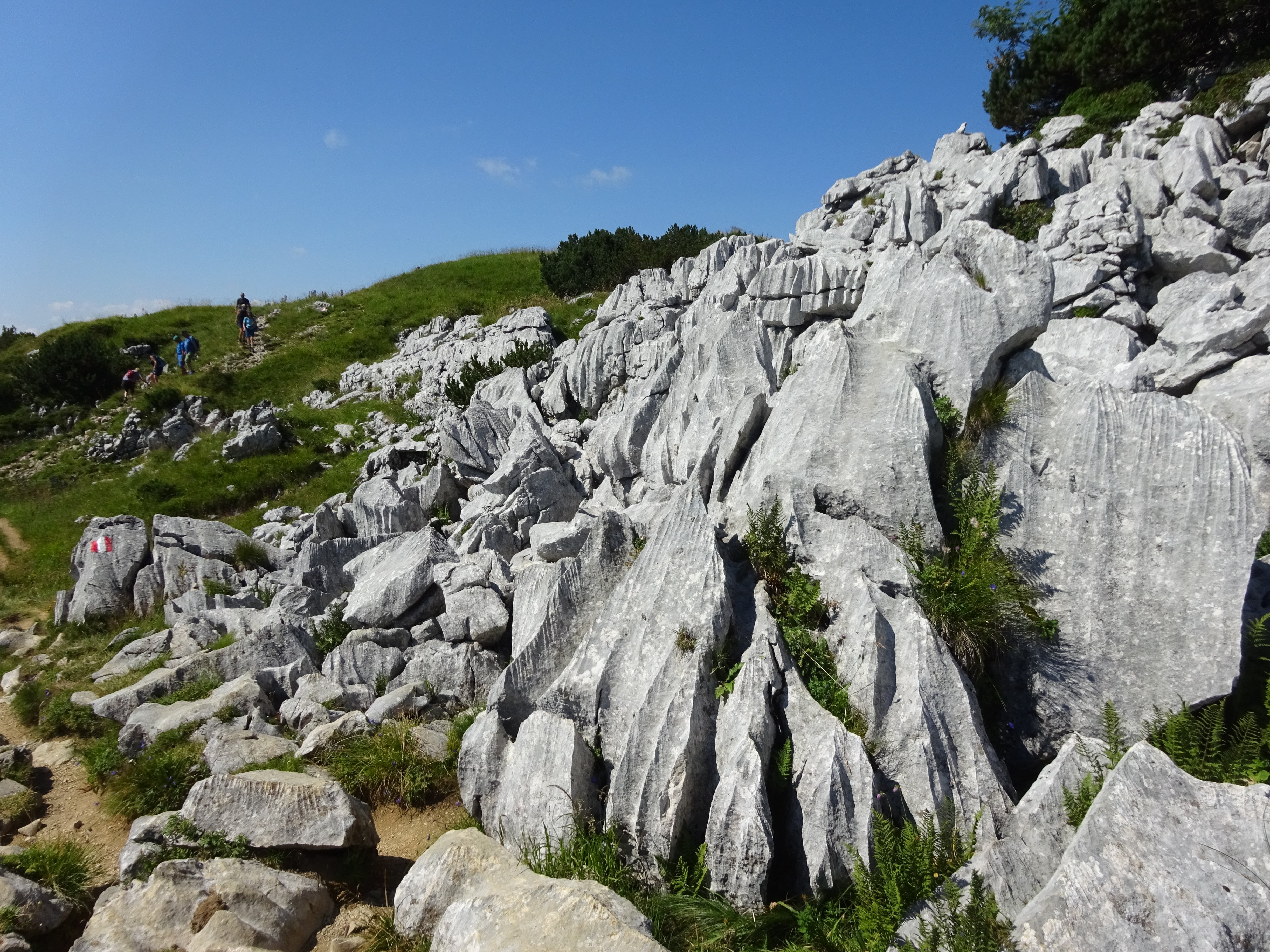 Magashegyi karsztfelszín, Alpok (Rippl-Rónai Múzeum CC BY-NC-ND)