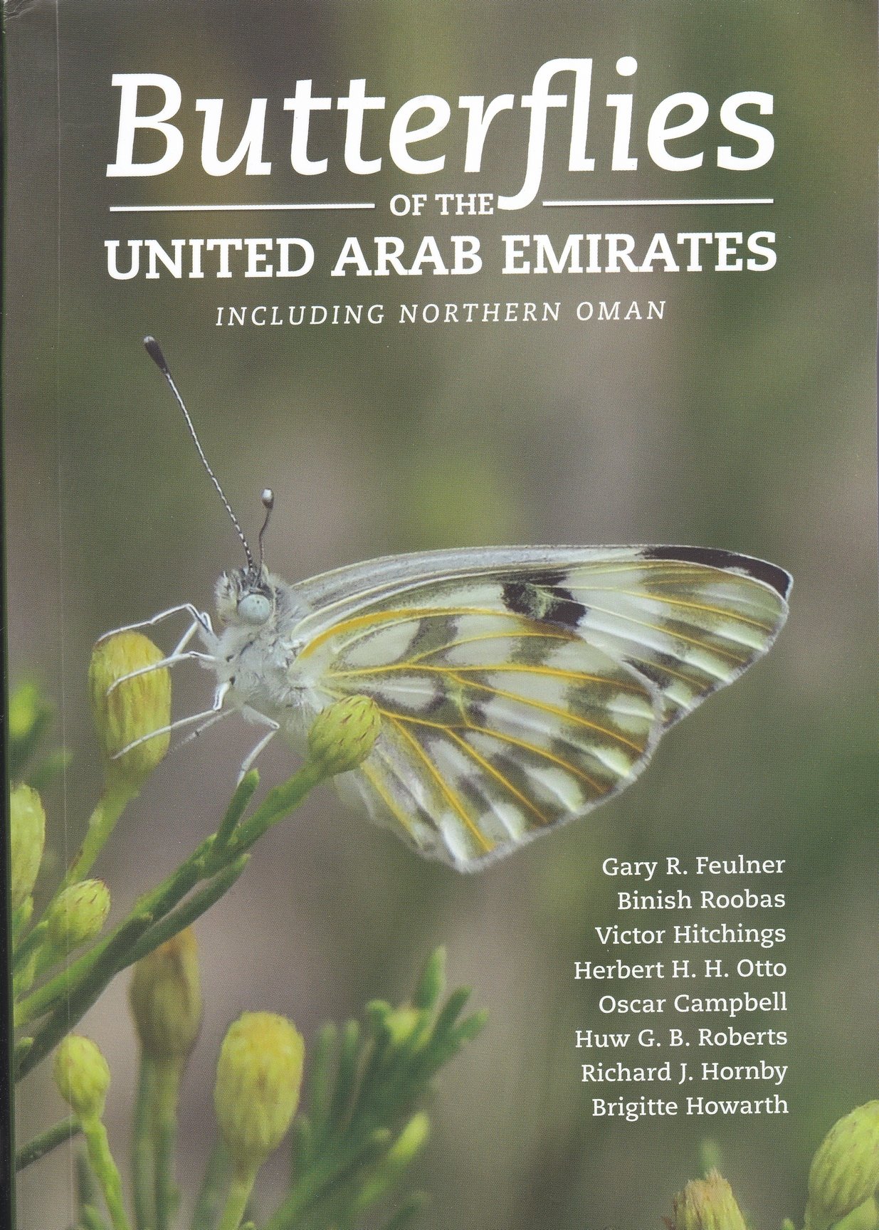 Butterflies of the United Arab Emirates including Northern Oman (Rippl-Rónai Múzeum CC BY-NC-ND)