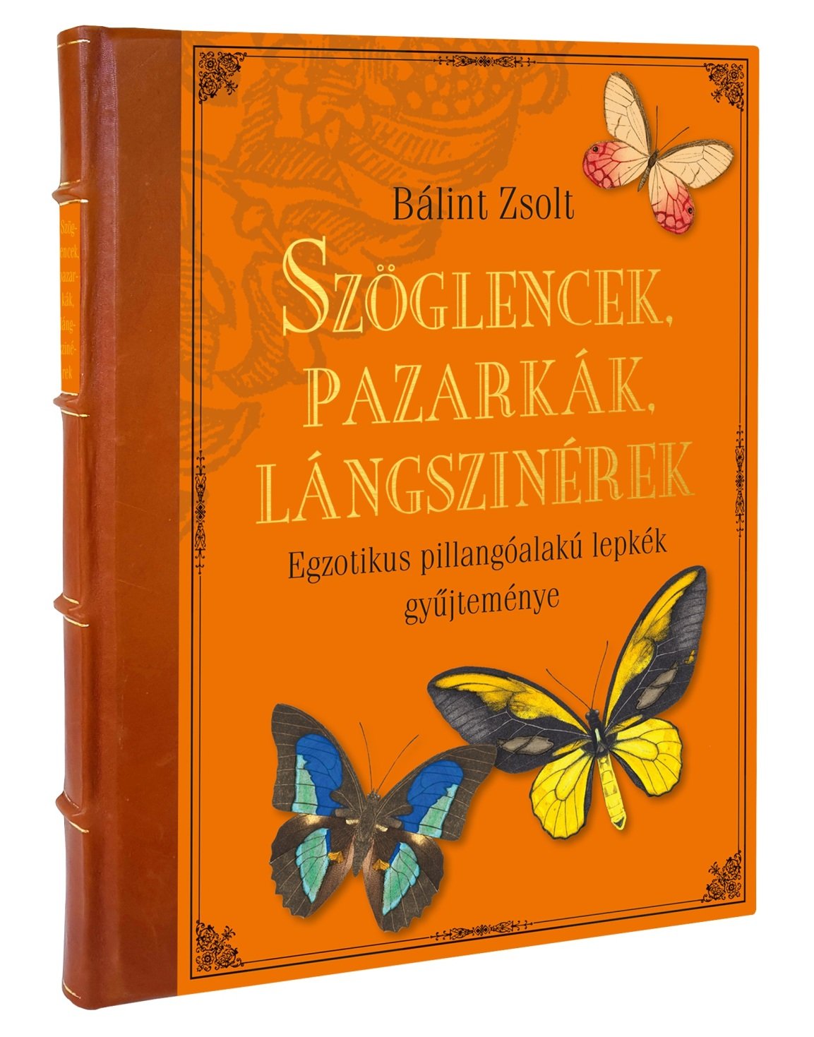 Bálint Zsolt: Szöglencek, pazarkák, lángszinérek. Egzotikus pillangóalakú lepkék gyűjteménye (Rippl-Rónai Múzeum CC BY-NC-ND)