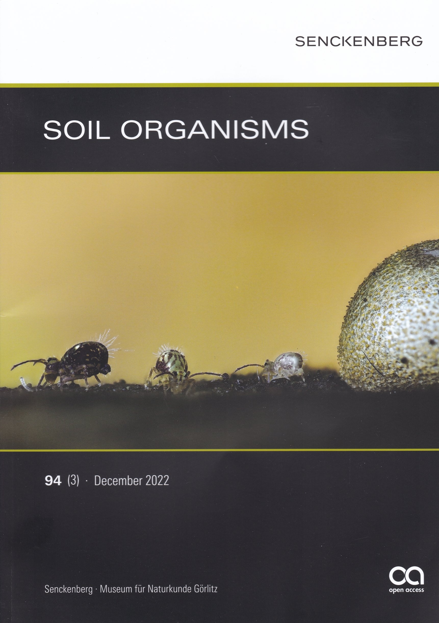 Soil Organisms 2022/94. évf. 3. sz. (Rippl-Rónai Múzeum CC BY-NC-ND)