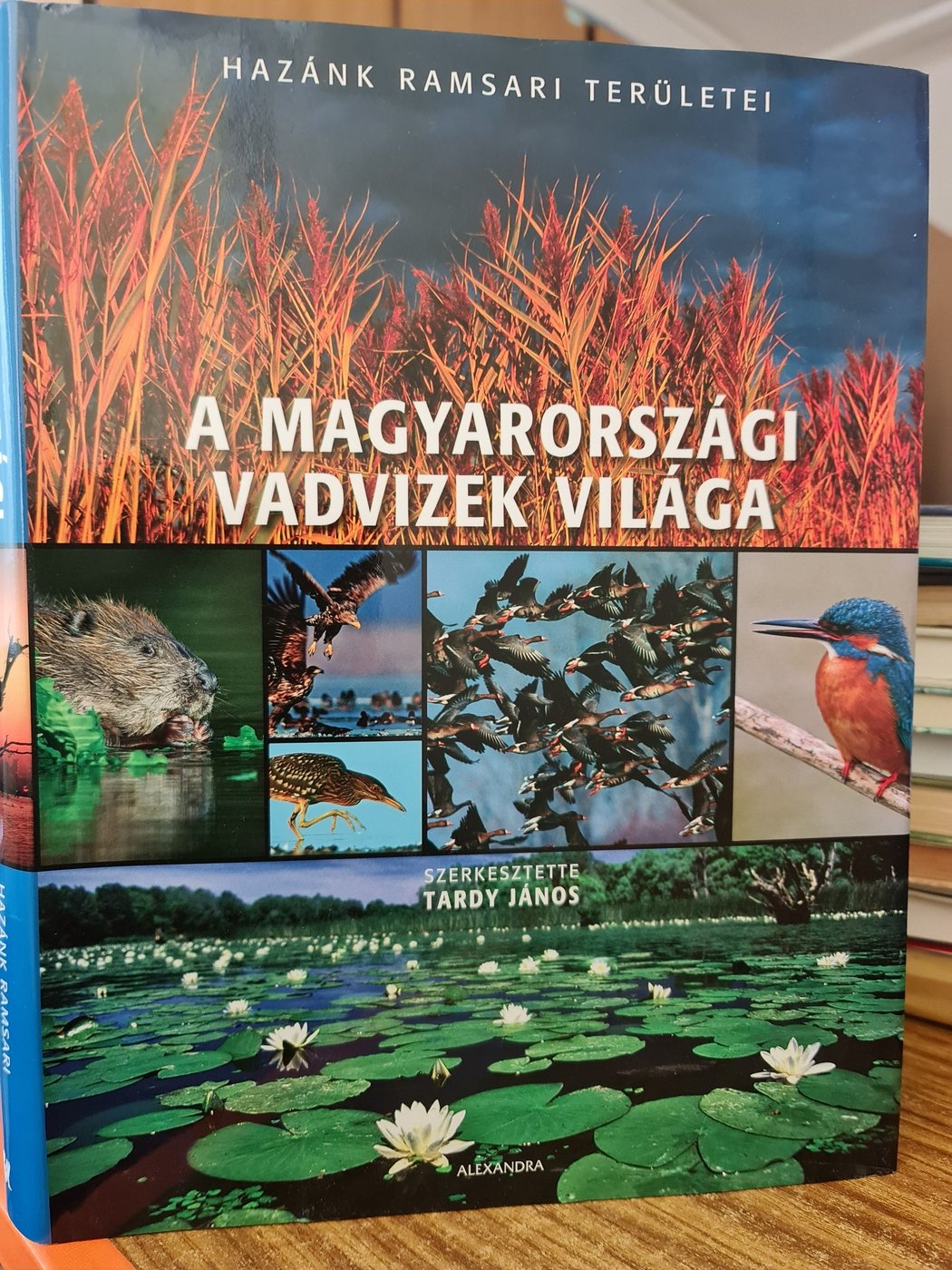 A magyarországi vadvizek világa. Hazánk ramsari területei (Rippl-Rónai Múzeum CC BY-NC-ND)