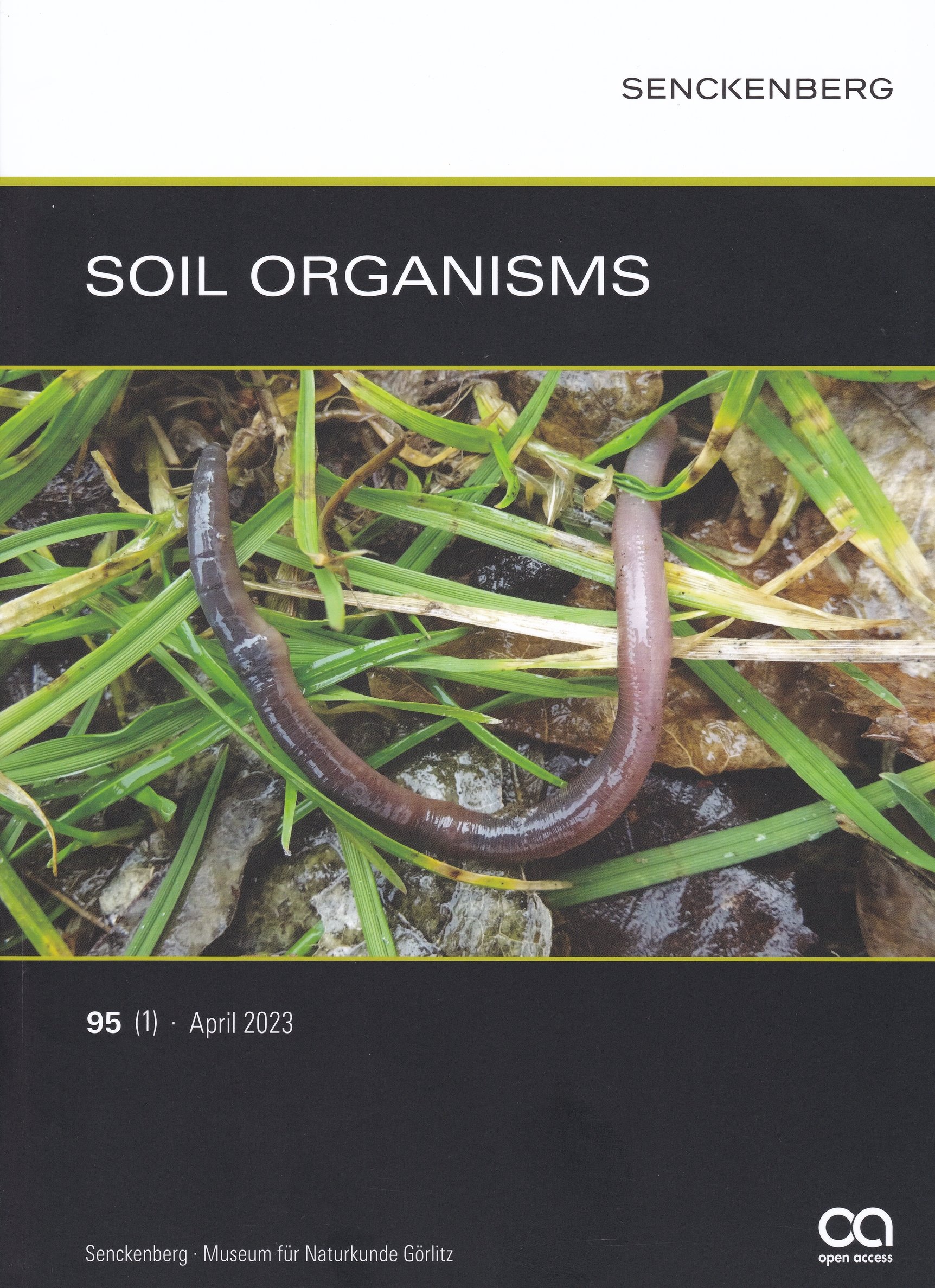 Soil Organisms 2023/95. évf. 1. sz. (Rippl-Rónai Múzeum CC BY-NC-ND)