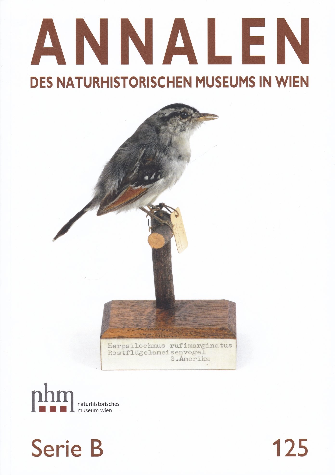 Annalen des Naturhistorischen Museums in Wien 2023/125. B. sorozat (Rippl-Rónai Múzeum CC BY-NC-ND)