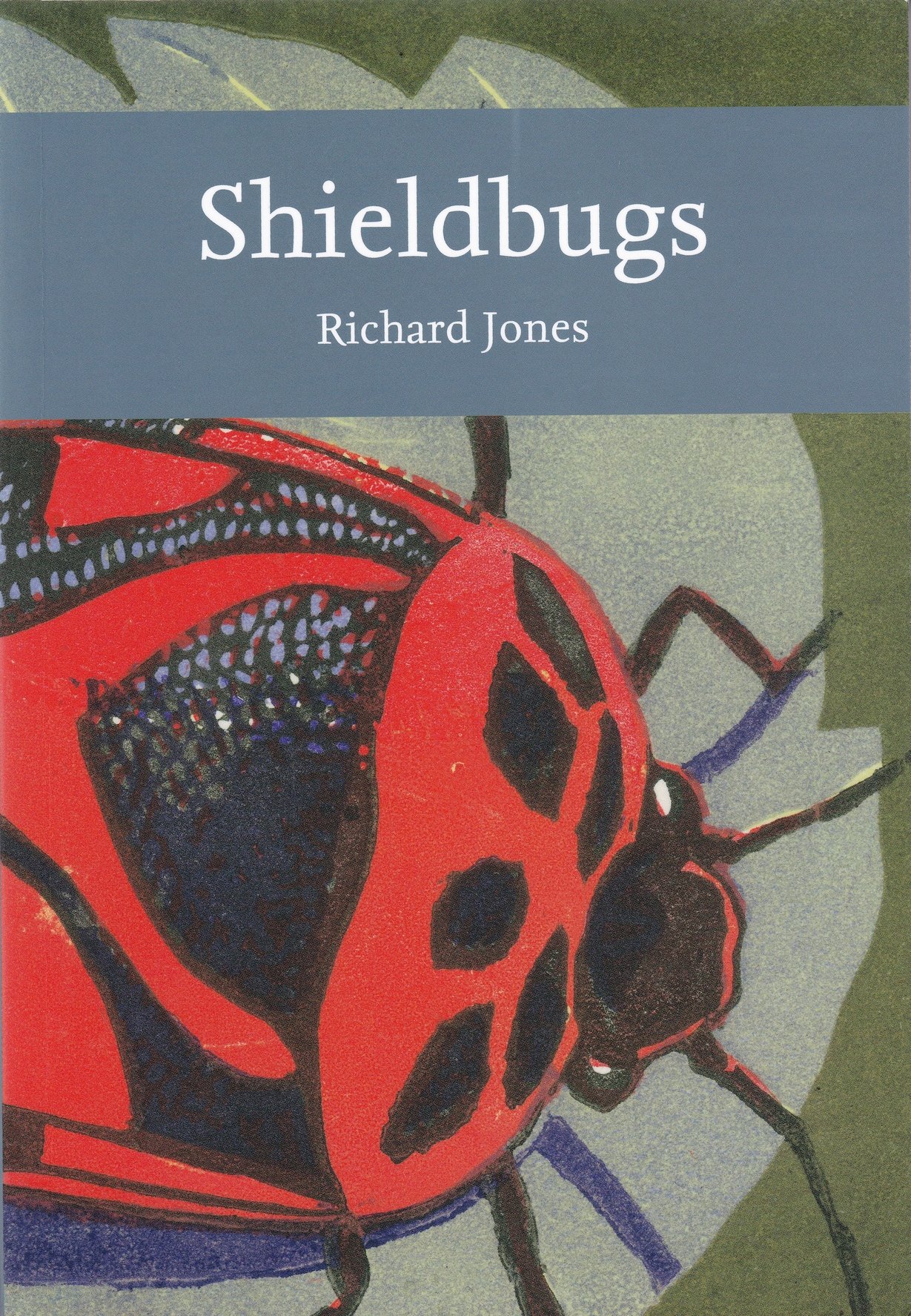 Richard Jones: Shieldbugs (Rippl-Rónai Múzeum CC BY-NC-ND)