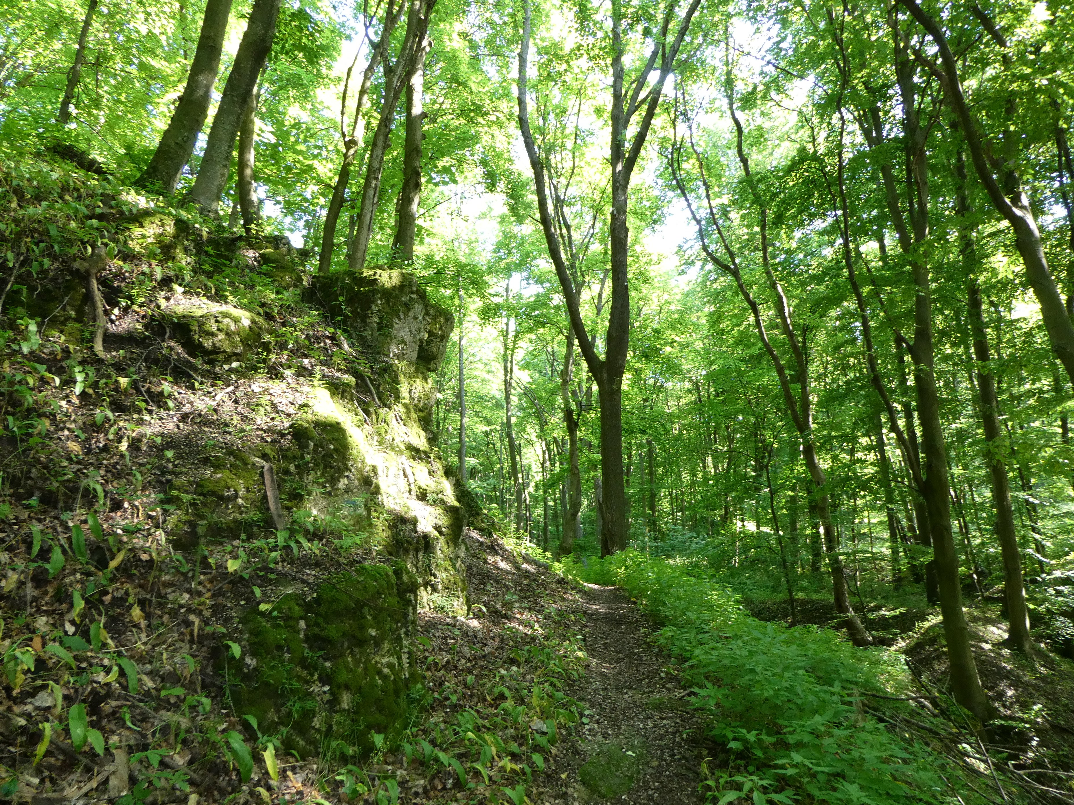 Kőkapu a Szent Milkós-völgyben, Keszthelyi-hegység (Rippl-Rónai Múzeum CC BY-NC-ND)