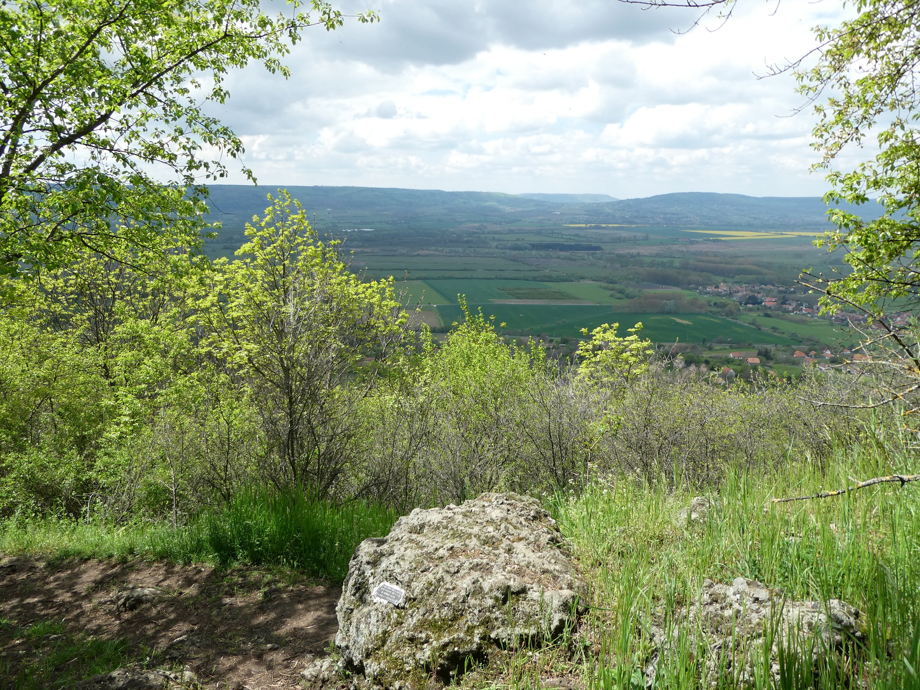 Bokorerdei kilátás a Szent-György-hegyről a Tapolcai-medencére és a Keszthelyi-hegységre (Rippl-Rónai Múzeum CC BY-NC-ND)