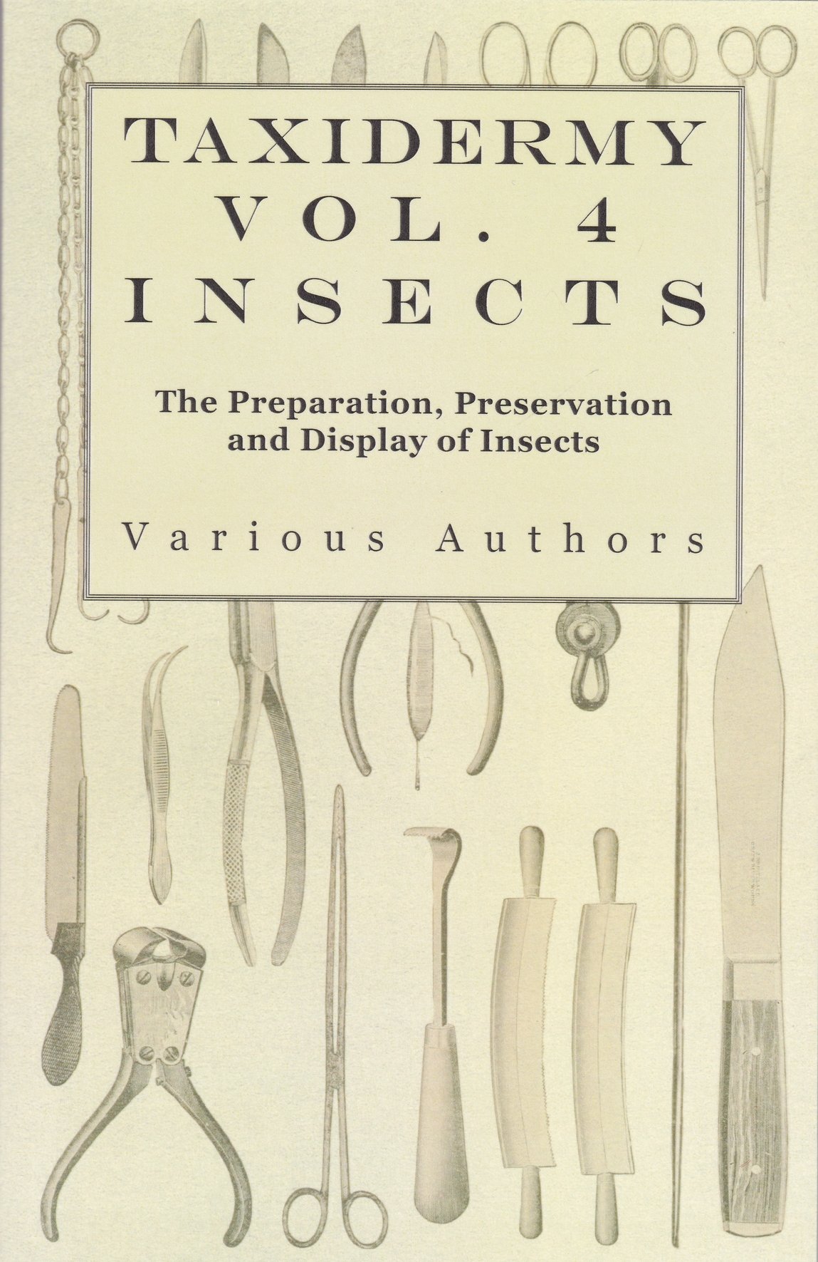 Taxidermy Vol. 4.: Insects (Rippl-Rónai Múzeum CC BY-NC-ND)