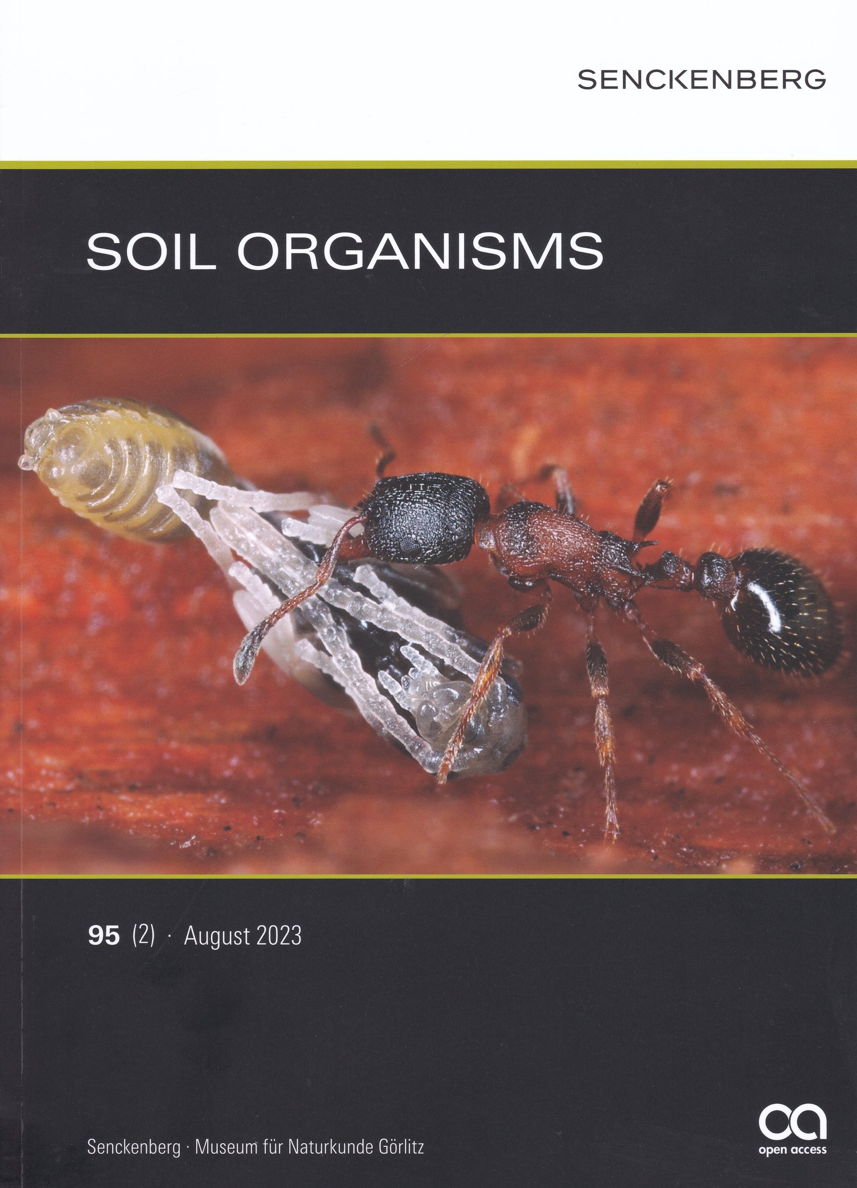 Soil Organisms 2023/95. évf. 2. sz. (Rippl-Rónai Múzeum CC BY-NC-ND)