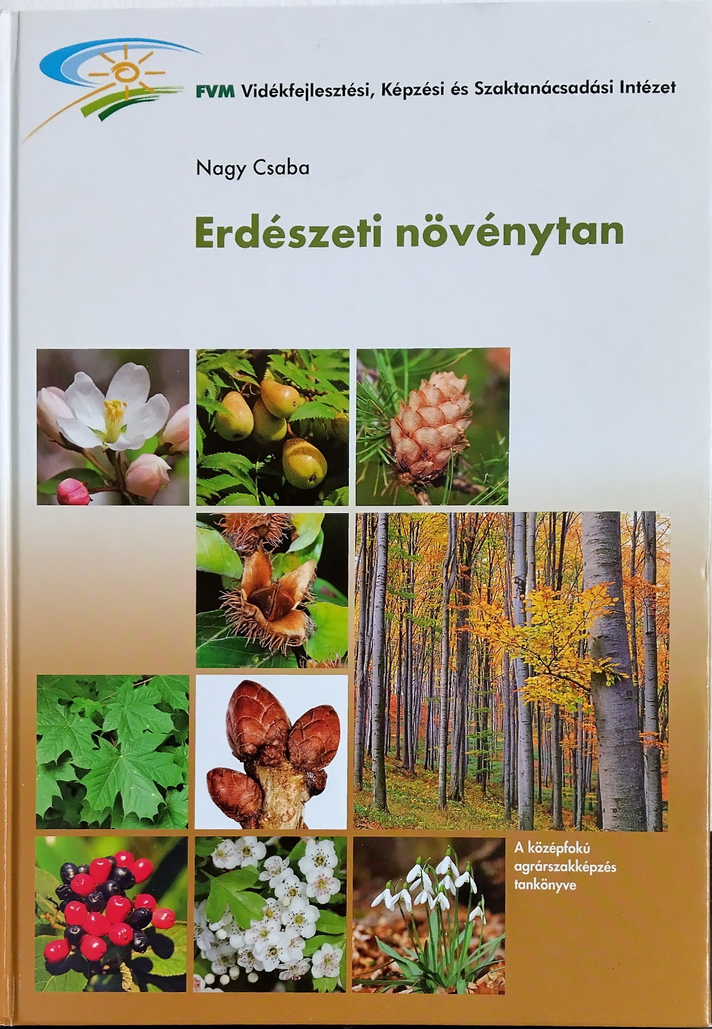 Nagy Csaba: Erdészeti növénytan (Rippl-Rónai Múzeum CC BY-NC-ND)