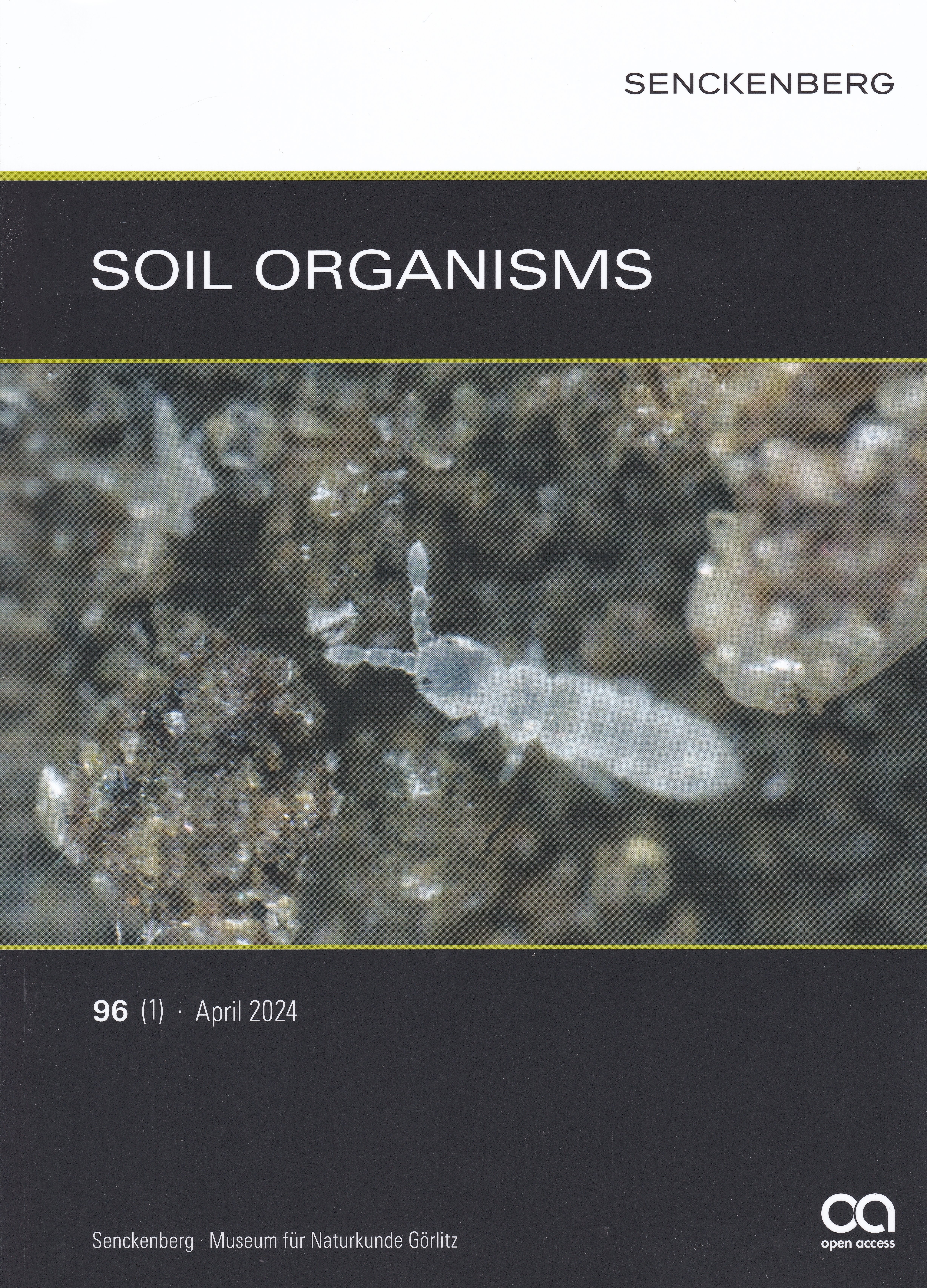 Soil Organisms 2024/96. évf. 1. sz. (Rippl-Rónai Múzeum CC BY-NC-ND)