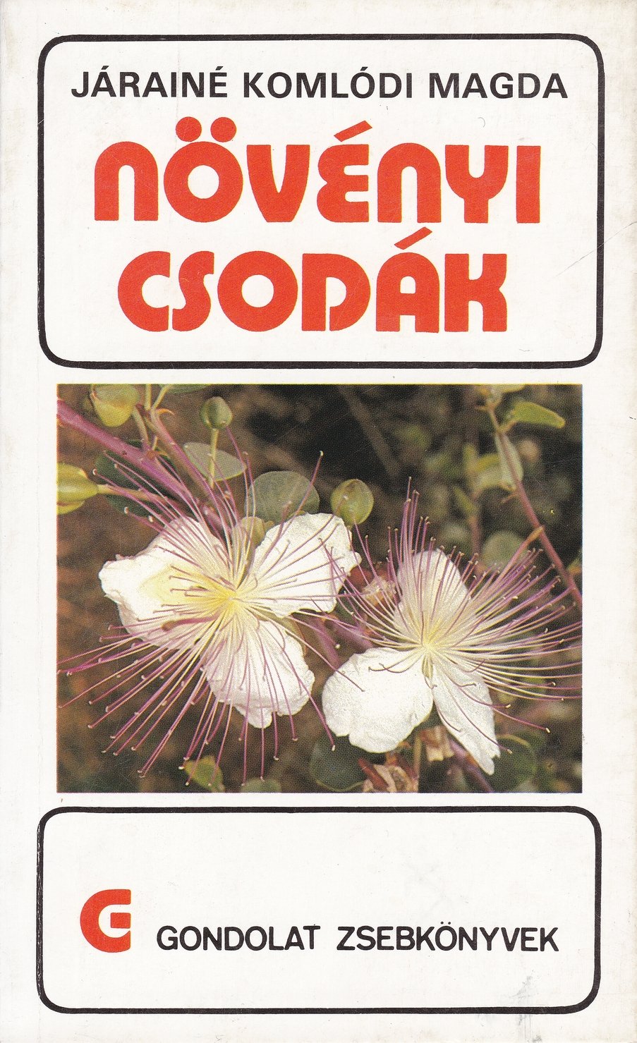Járainé Komlódi Magda: Növényi csodák (Rippl-Rónai Múzeum CC BY-NC-ND)