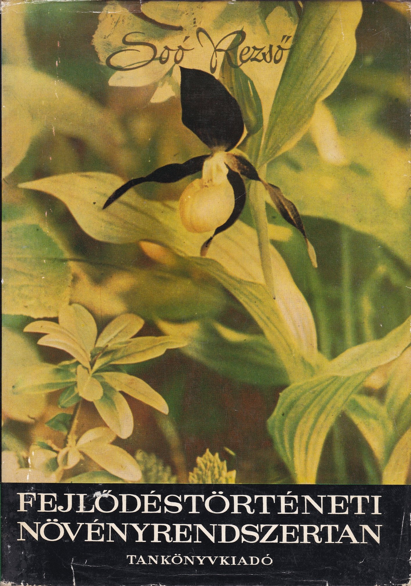 Soó Rezső: Fejlődéstörténeti növényrendszertan (Rippl-Rónai Múzeum CC BY-NC-ND)