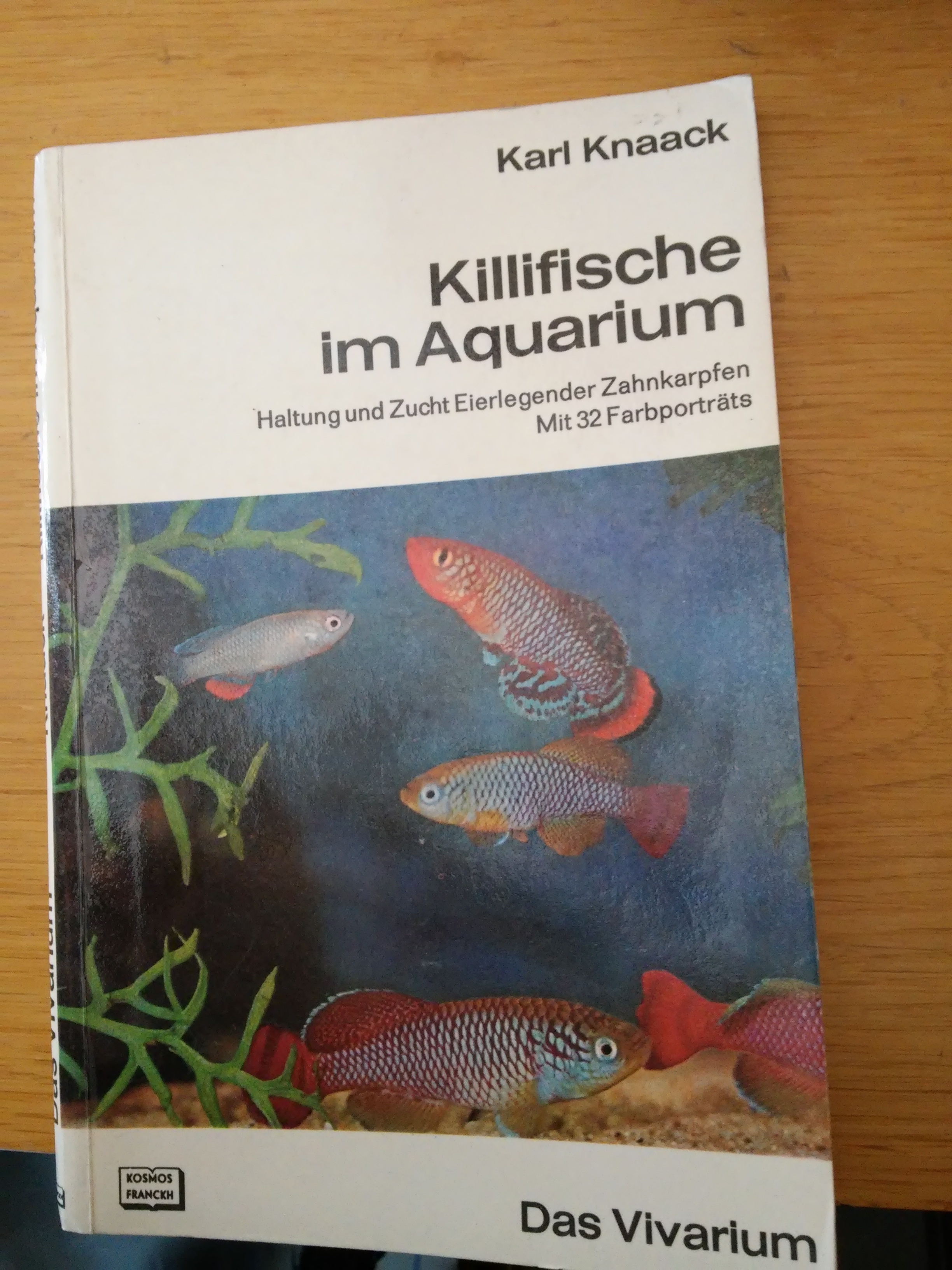 Karl Knaack: Killifische im Aquarium (Rippl-Rónai Múzeum CC BY-NC-SA)