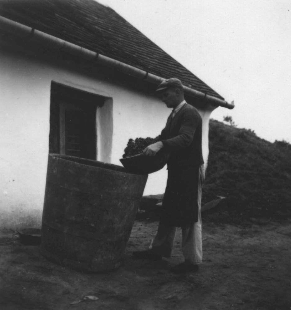 Egy fasajtár szőlőt öntenek a törkölyös-hordóba (Rippl-Rónai Múzeum RR-F)