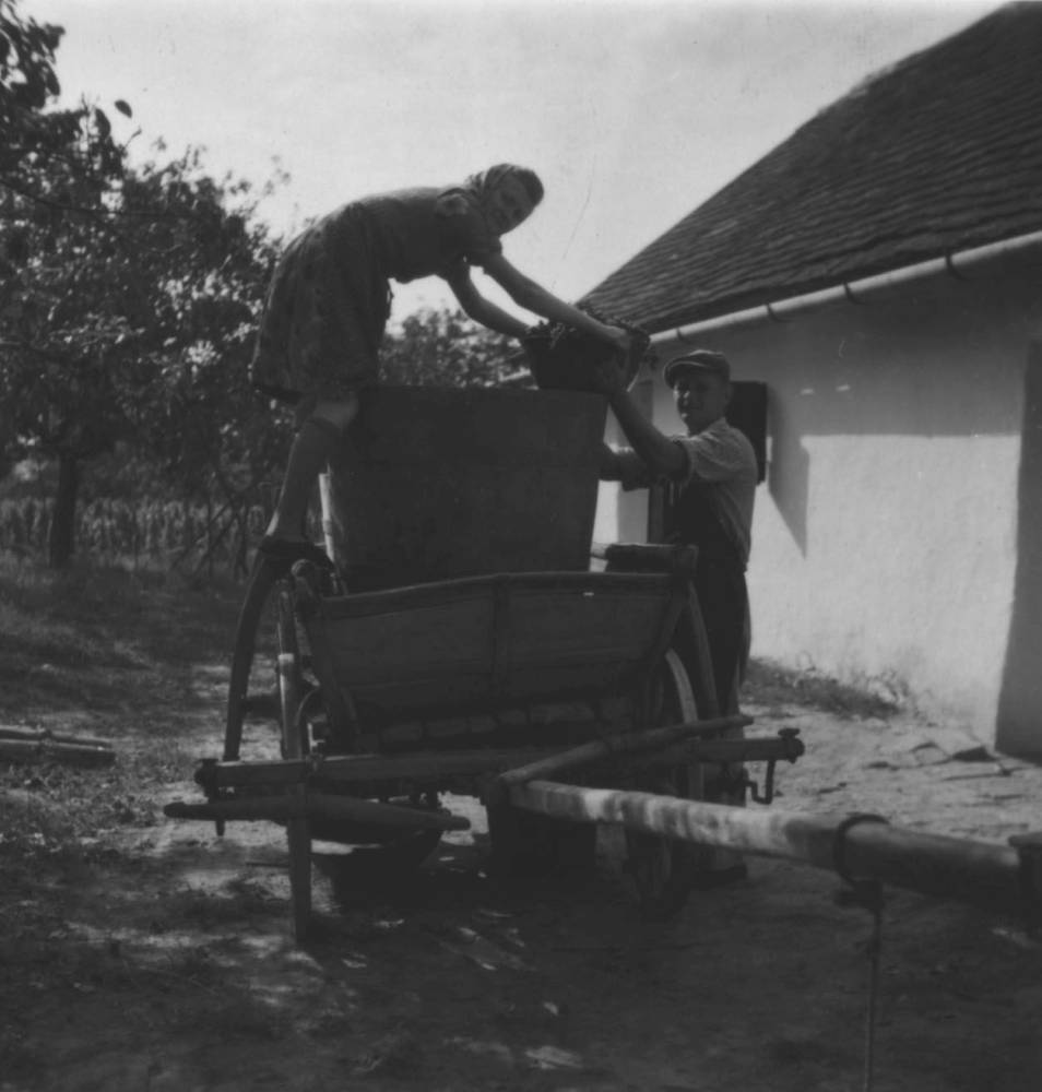A kocsiról présre viszik a szőlőt (Rippl-Rónai Múzeum RR-F)