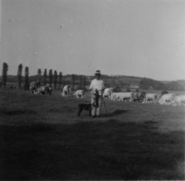 Öreglaki pásztor a Nagyárok mellett legeltet (Rippl-Rónai Múzeum RR-F)