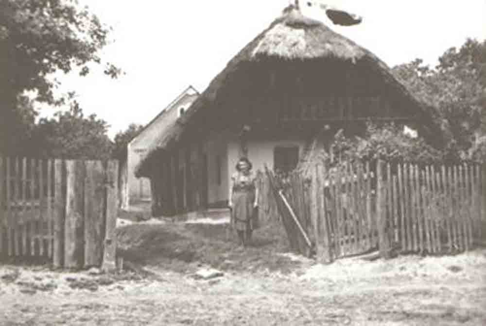 Üstökös, lécoromfalas, faoszlopos, tornácos ház (Rippl-Rónai Múzeum RR-F)