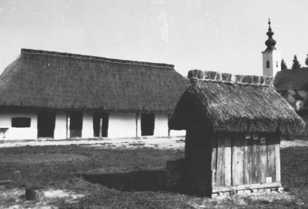 A nagykorpádi lakóház és a surdi tyúkól délnyugati nézete (Rippl-Rónai Múzeum RR-F)