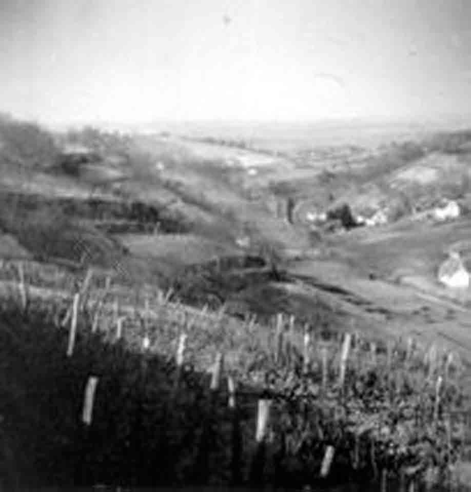 A szőlőművelés tájalakítása Ivánfa-Hangyásmálnál dombokon (Rippl-Rónai Múzeum RR-F)