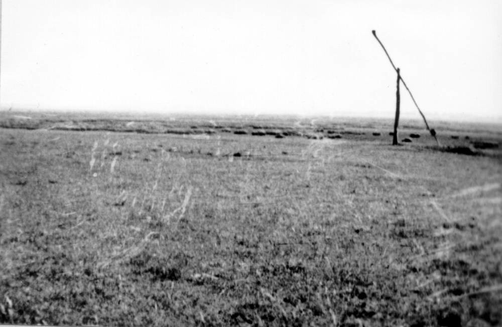 Bereki legelő Pusztaberény felé (Rippl-Rónai Múzeum RR-F)